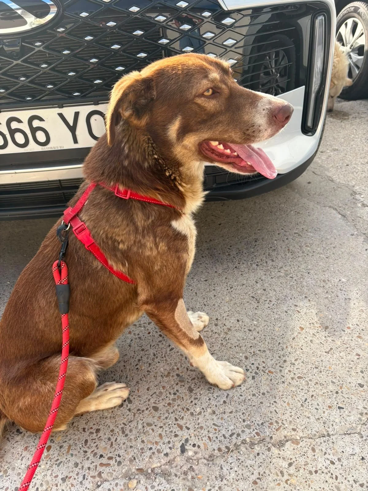 a8a14e5f-71f5-44af-a47e-9c5a2cd81806.JPG
