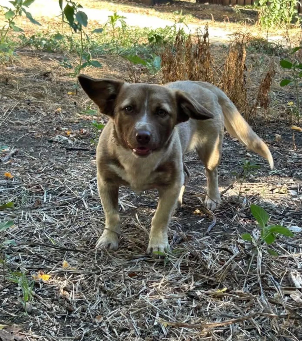 a6774582-0aed-4be0-ba79-483725b2c987.JPG
