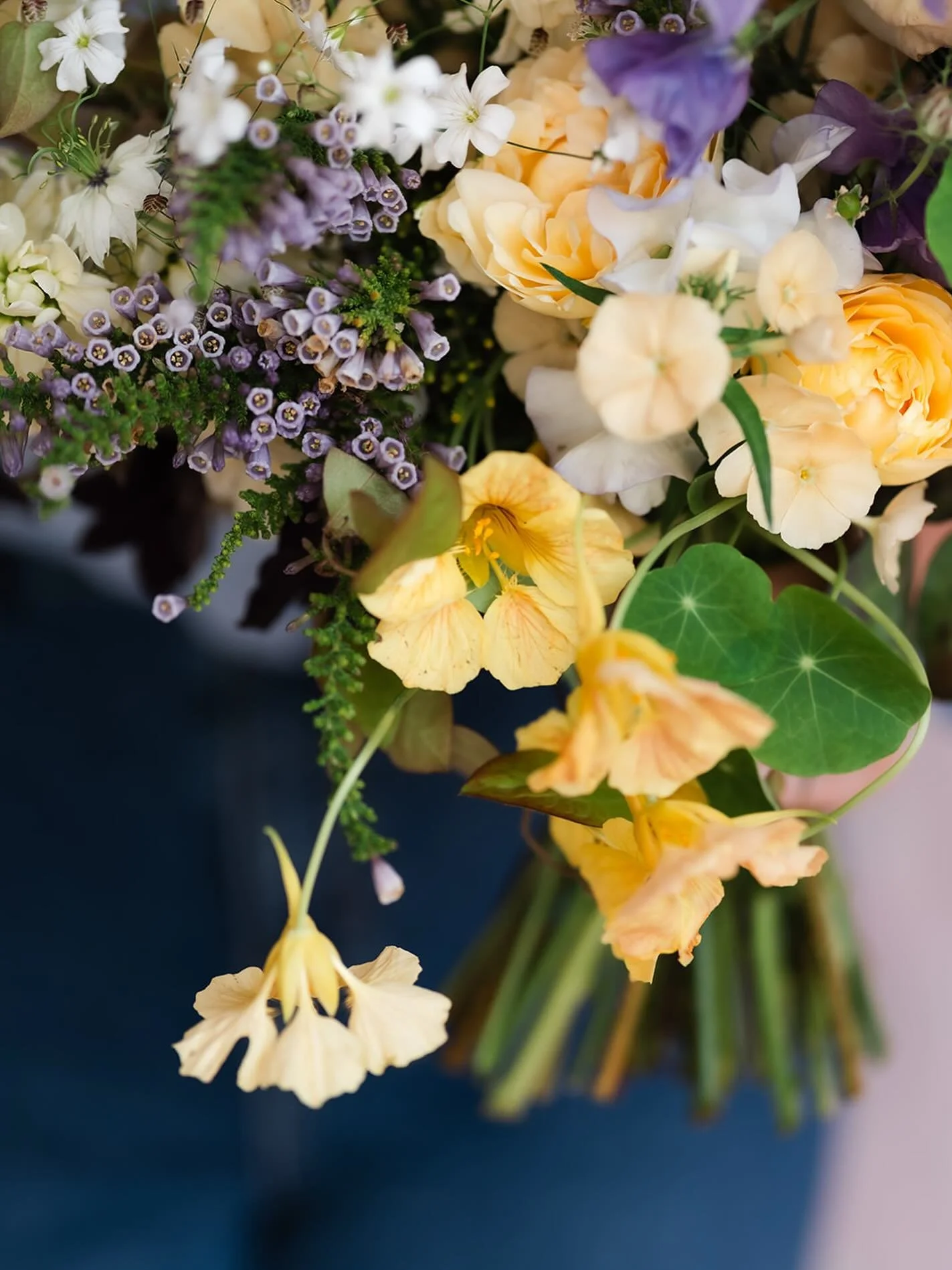 NASTURTIUM ~Impetuous love and love conquers all

Let&rsquo;s take the time to talk about this little guy, buttery yellow and the centre of attention. This small but mighty flower holds two pretty impressive meanings which I think utterly captures th
