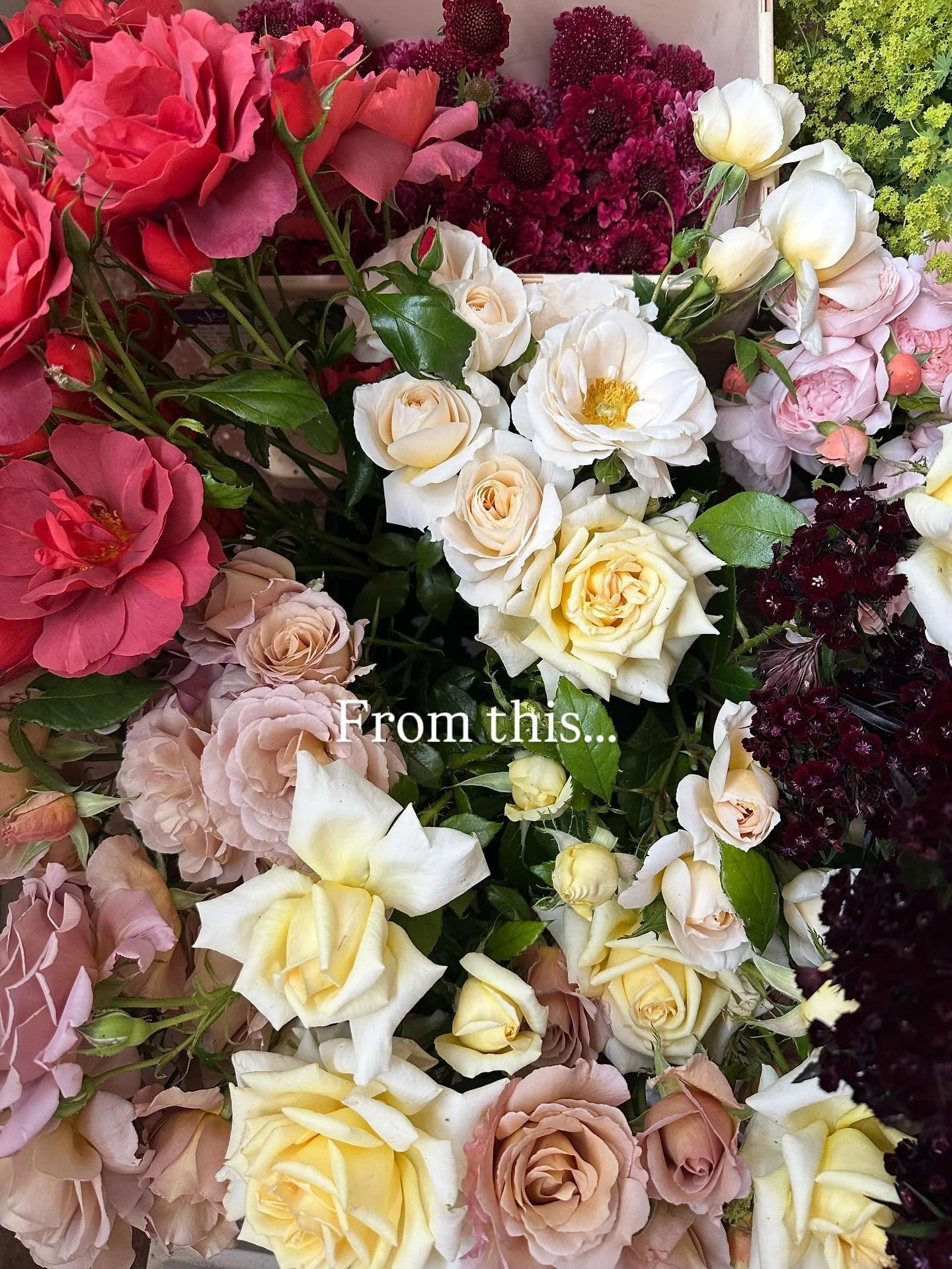 IKEBANA BOWLS 

Modern, stylish, and fun these ikebana bowls brought all the elegant vibes to this chic June wedding this year. 

We used a combination of roses (isn&rsquo;t this Hot Chocolate rose to die for?!) and asymmetrical stems to create a mod