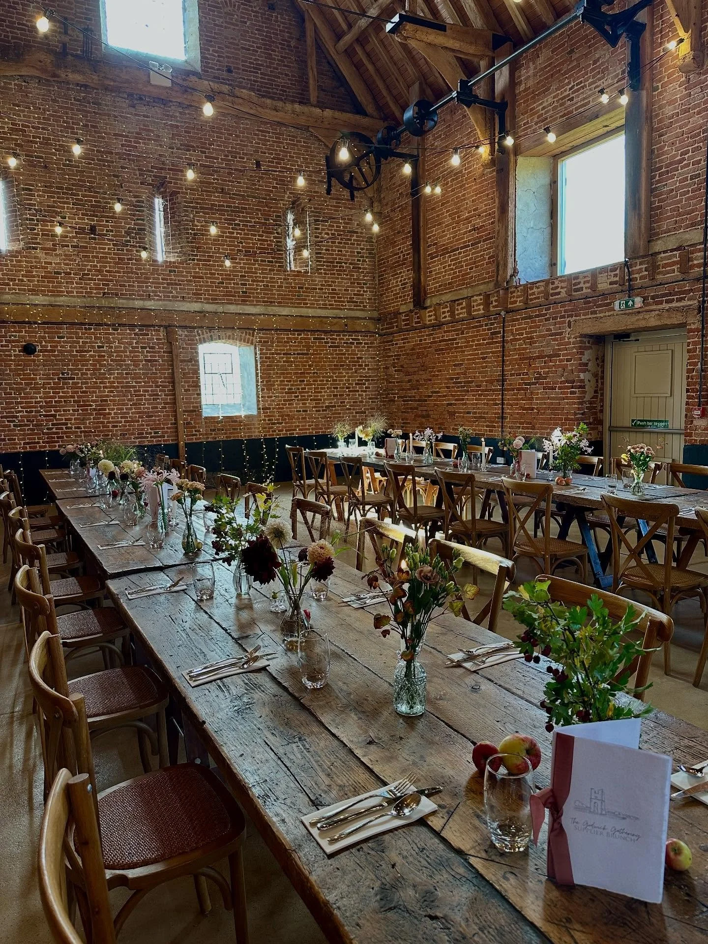 October was for teeny tiny apples, dogs, and chrysanthemums 🍁🍎✨