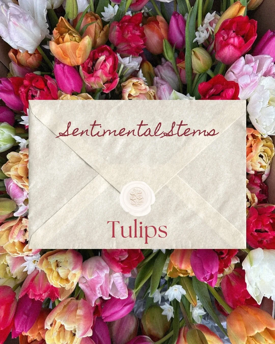 These beauties are starting to poke their heads through the ground waiting for Spring, so there&rsquo;s no better time to see the sentimental meanings behind TULIPS 🌷