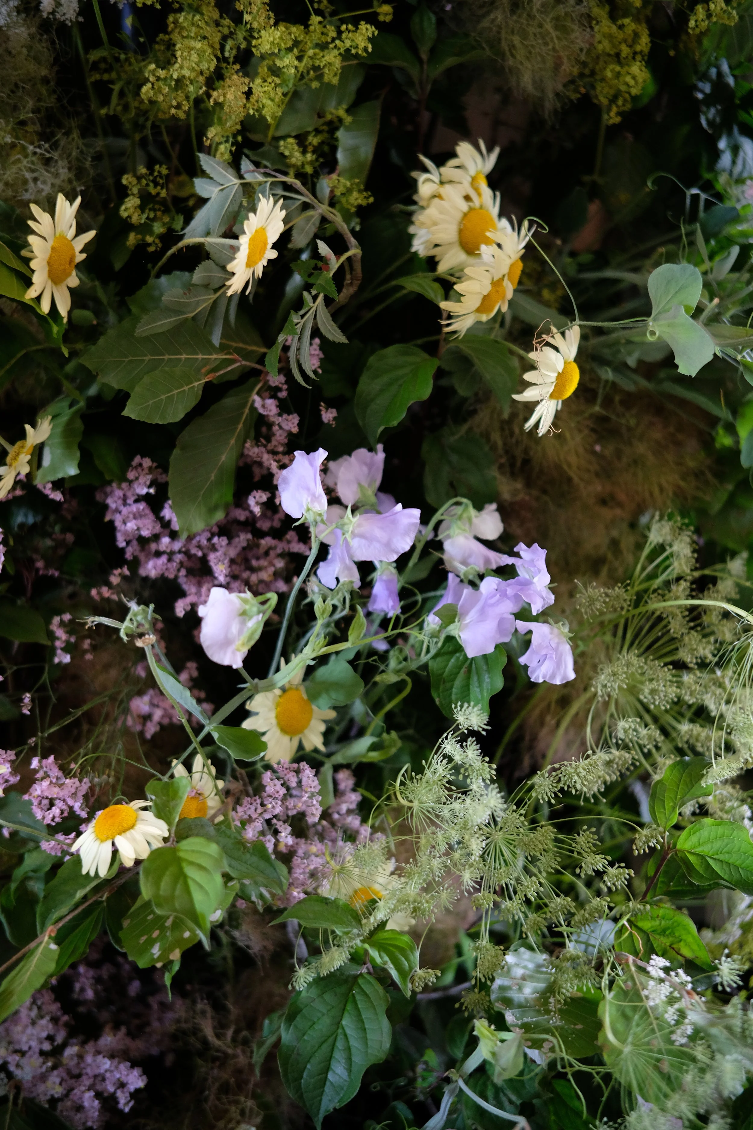 DSCF2727.JPG