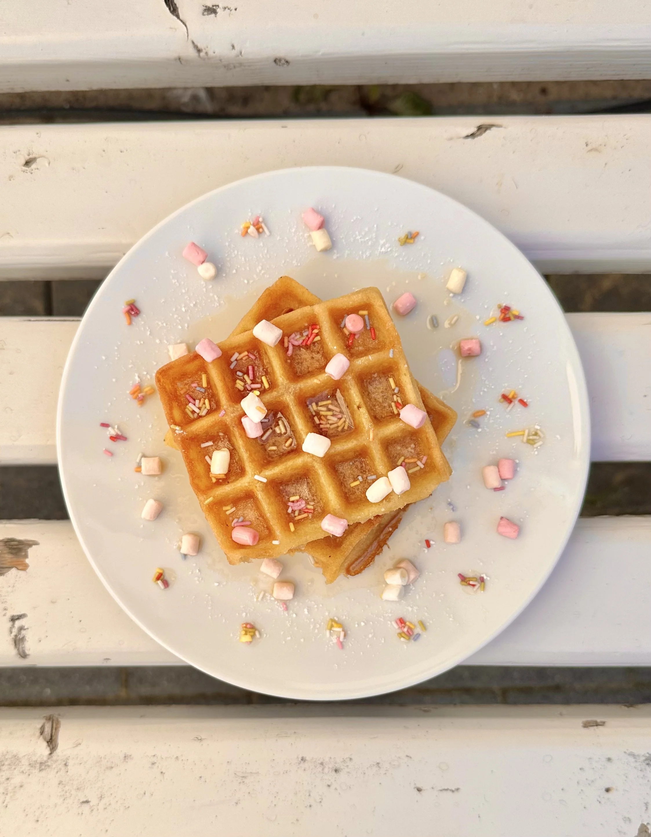 Photo15_Waffle.jpeg