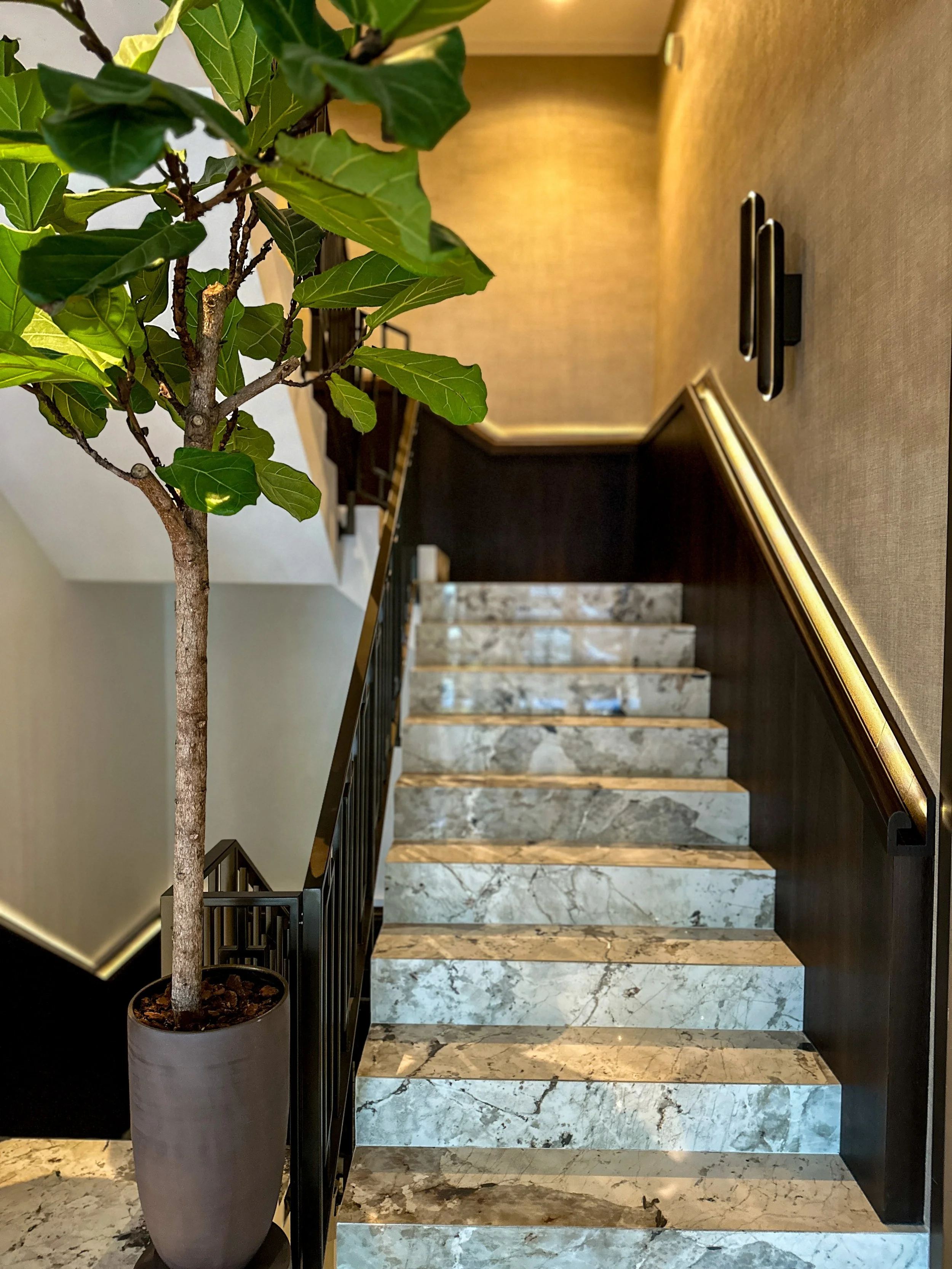 Park_Lane-060[1].jpg
