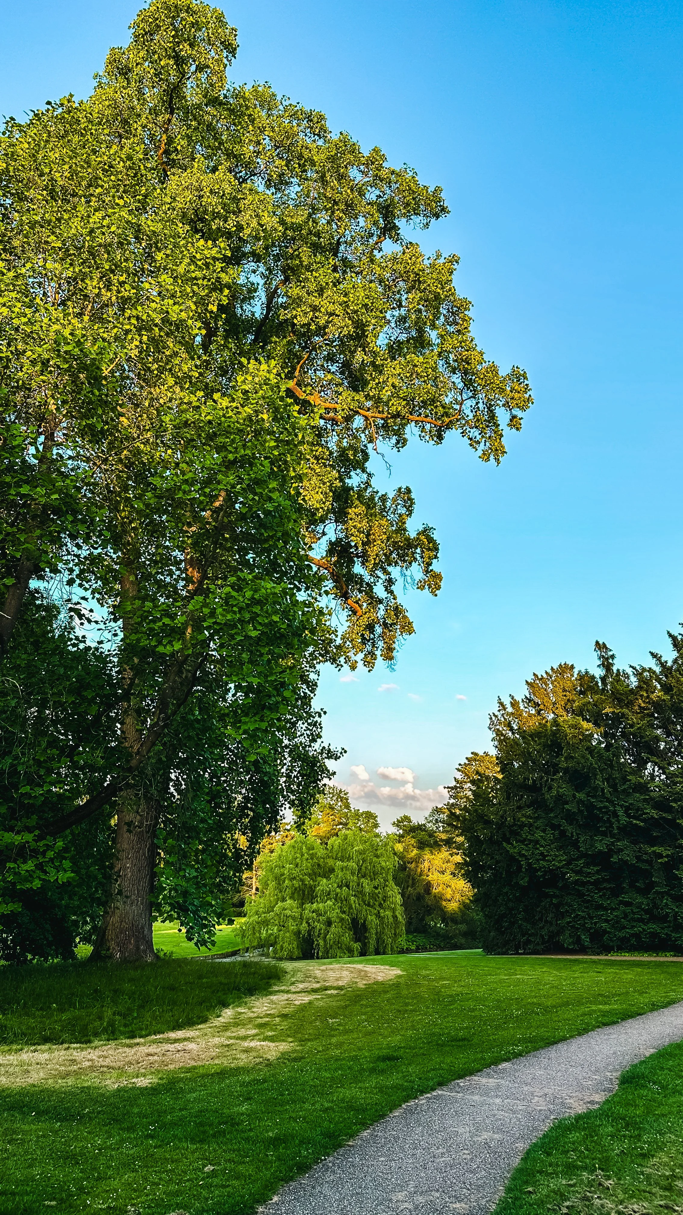 Park_Lane-022[1].jpg