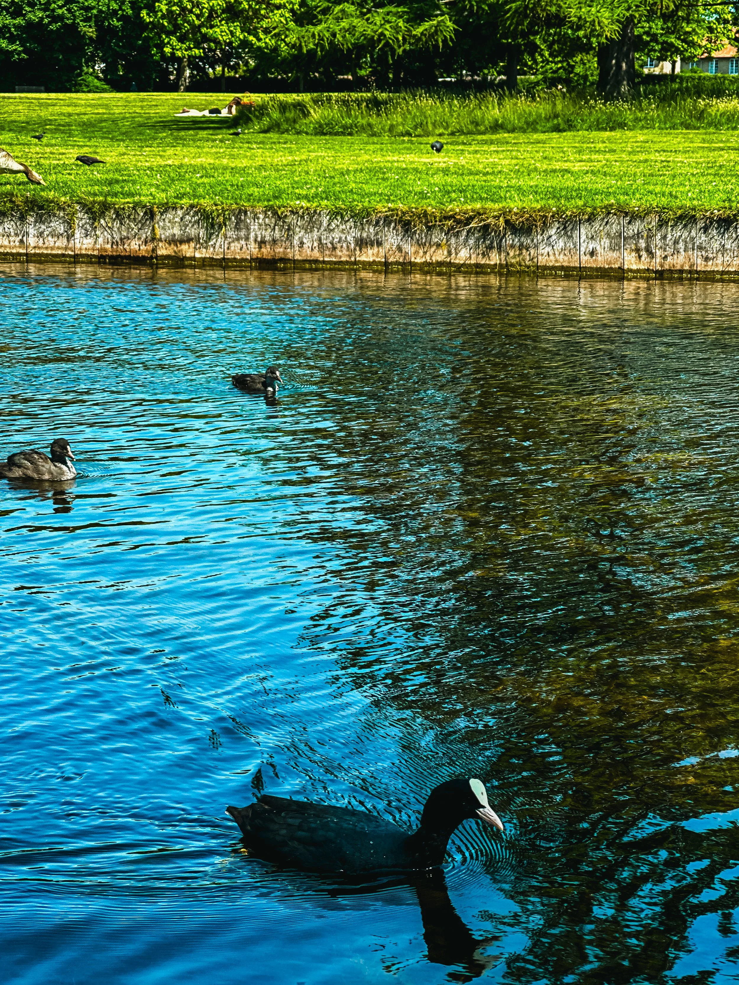 Park_Lane-038[1].jpg