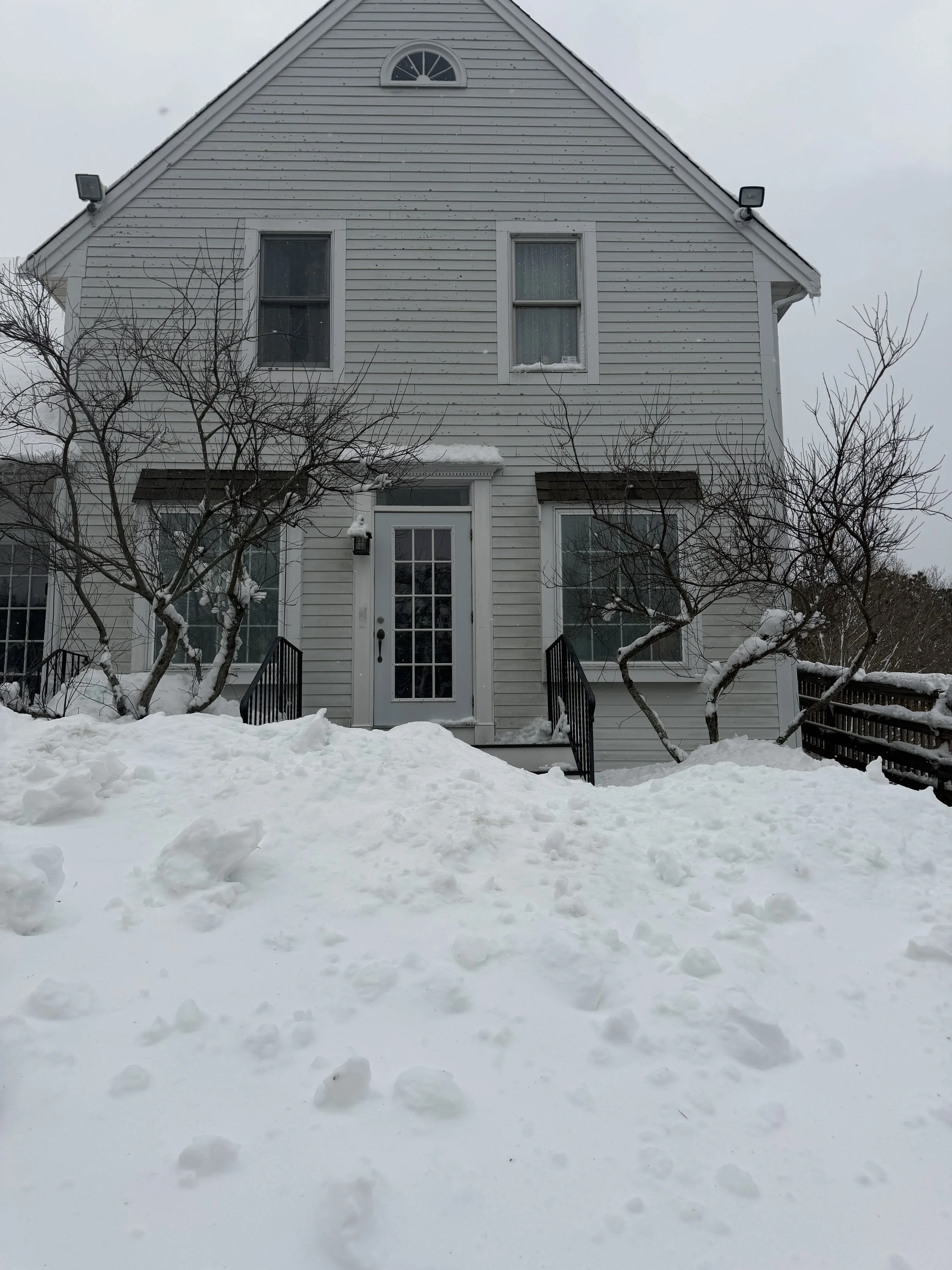 Winter 2026 at Natural Vibes

We had our fair share of snow and even lost power for a few days. Luckily as soon as we were ready to open the doors, the classes filled and we started moving together again!