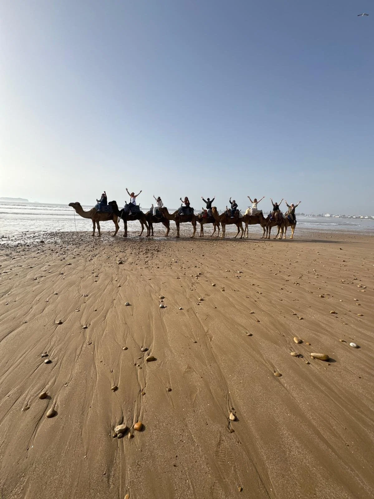 2026 Elevate Wellness Retreat to Morocco!

We took a 2 hour camel ride along the coast. With you feet dangling high above the golden sand, the ride was exciting and relaxing at the same time!