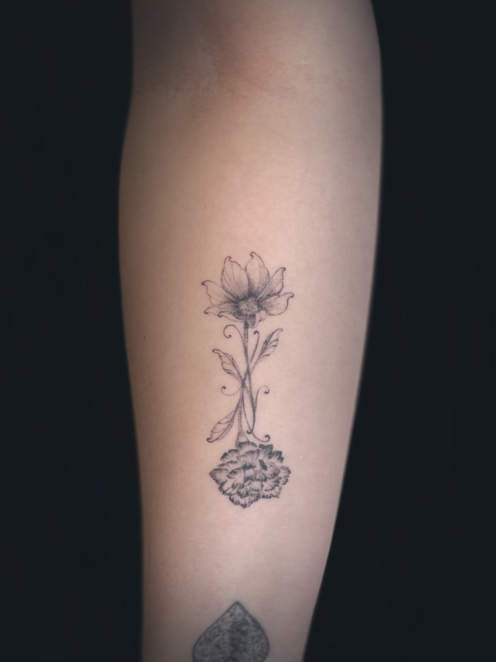 Untitled_Artwork 13.png
