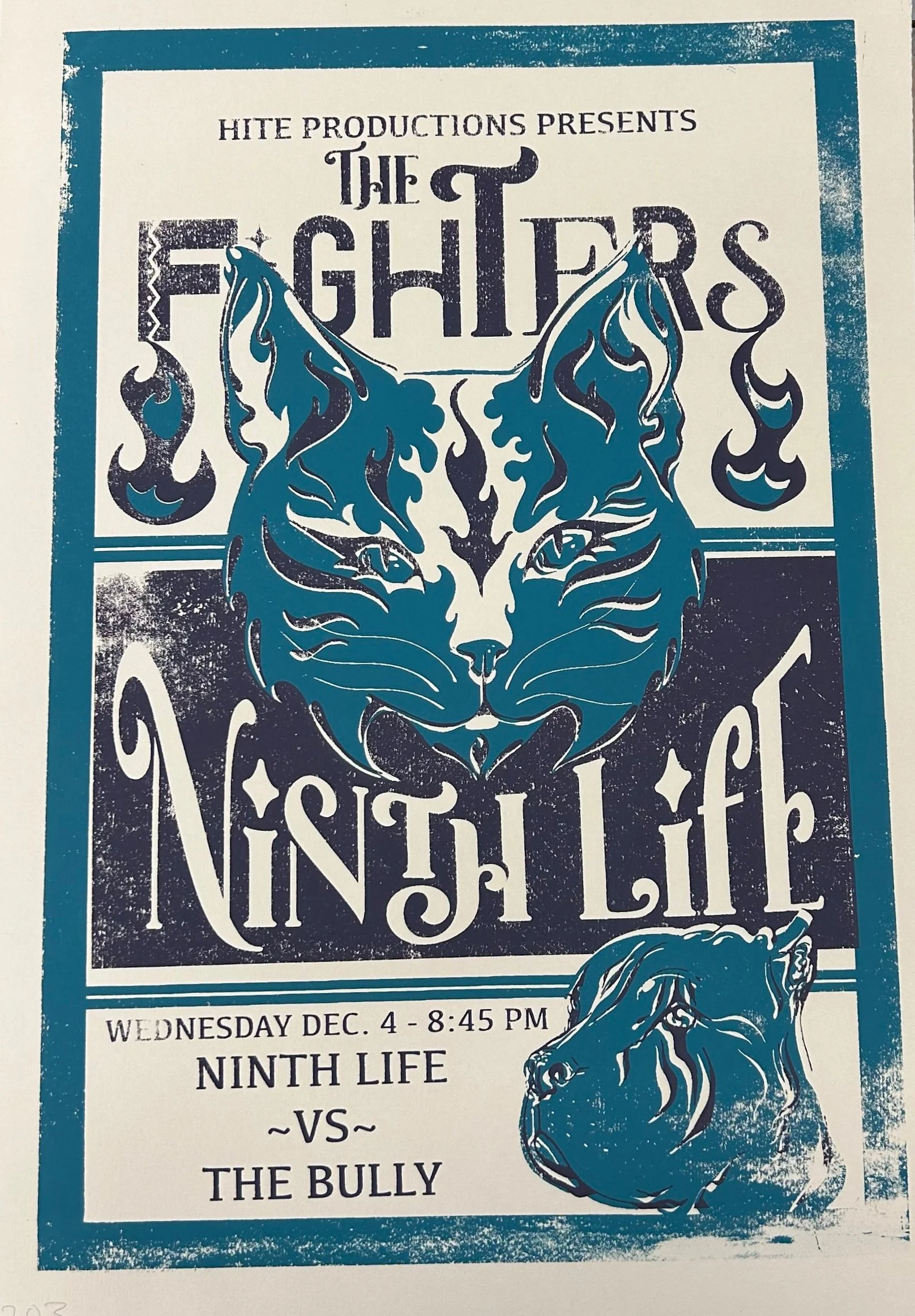 The Fighters: Ninth Life