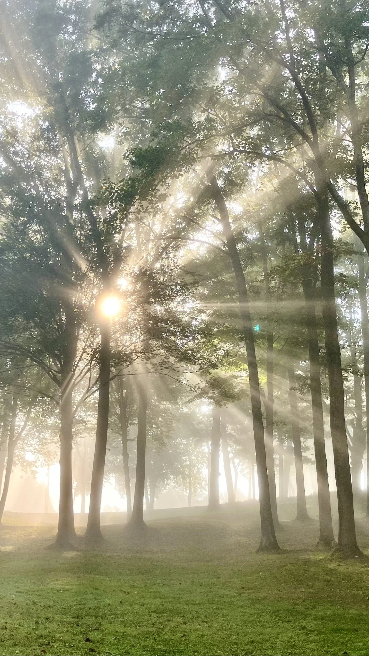 Online WEEKEND RETREAT — “Unveiling the Light of Being”