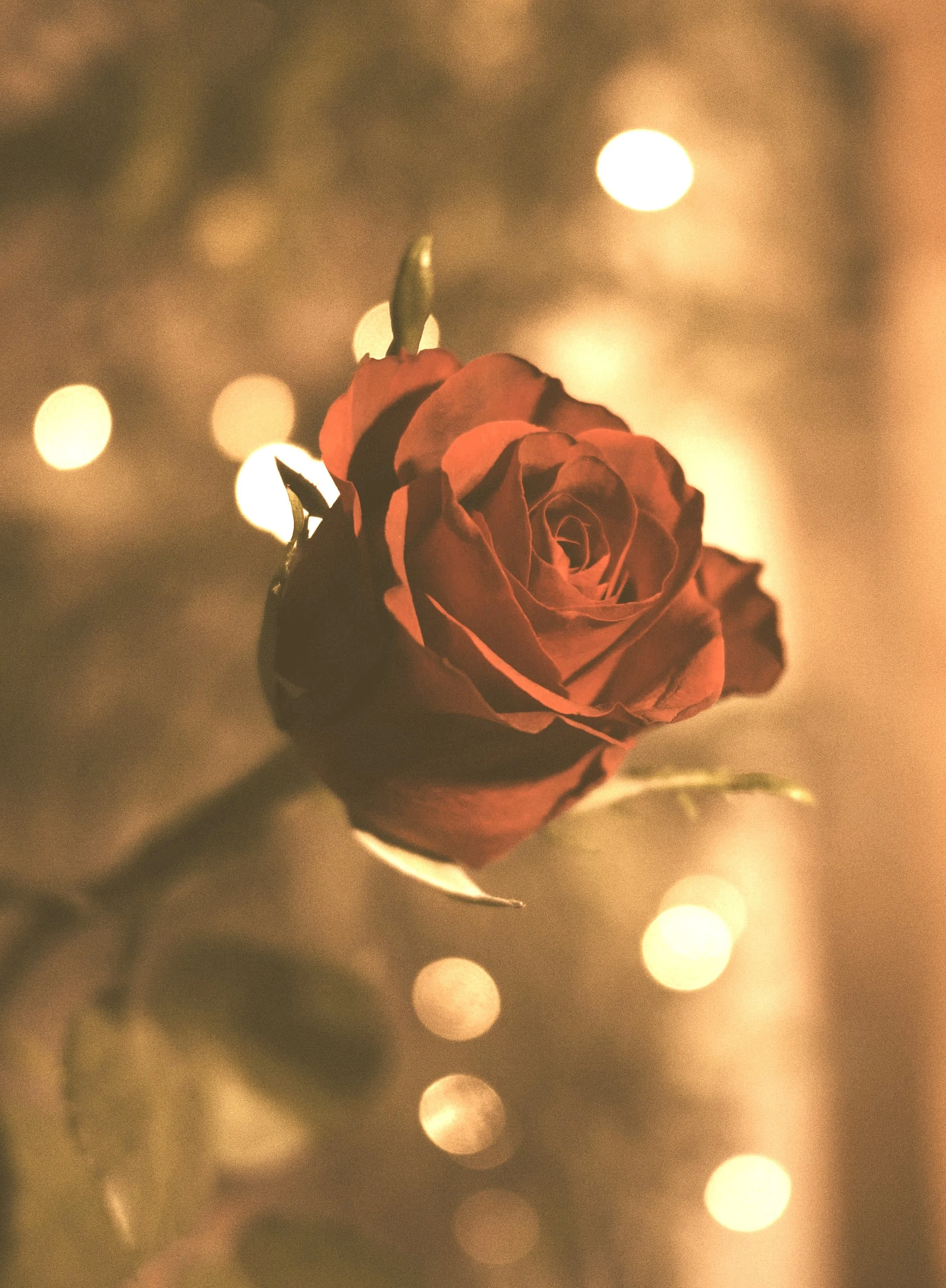 Online WEEKEND RETREAT with Amoda Maa — “The Resurrection of the Heart”