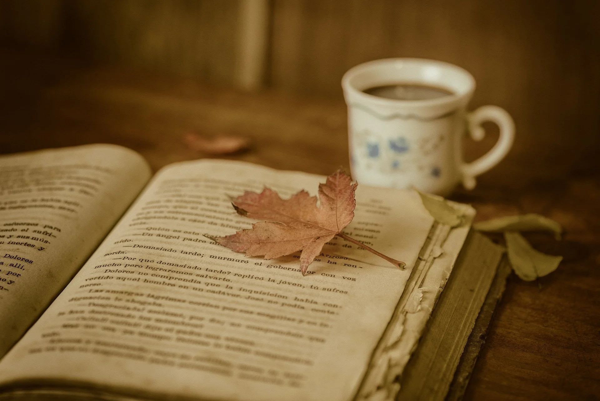 Online POETRY and PRESENCE with Kavi