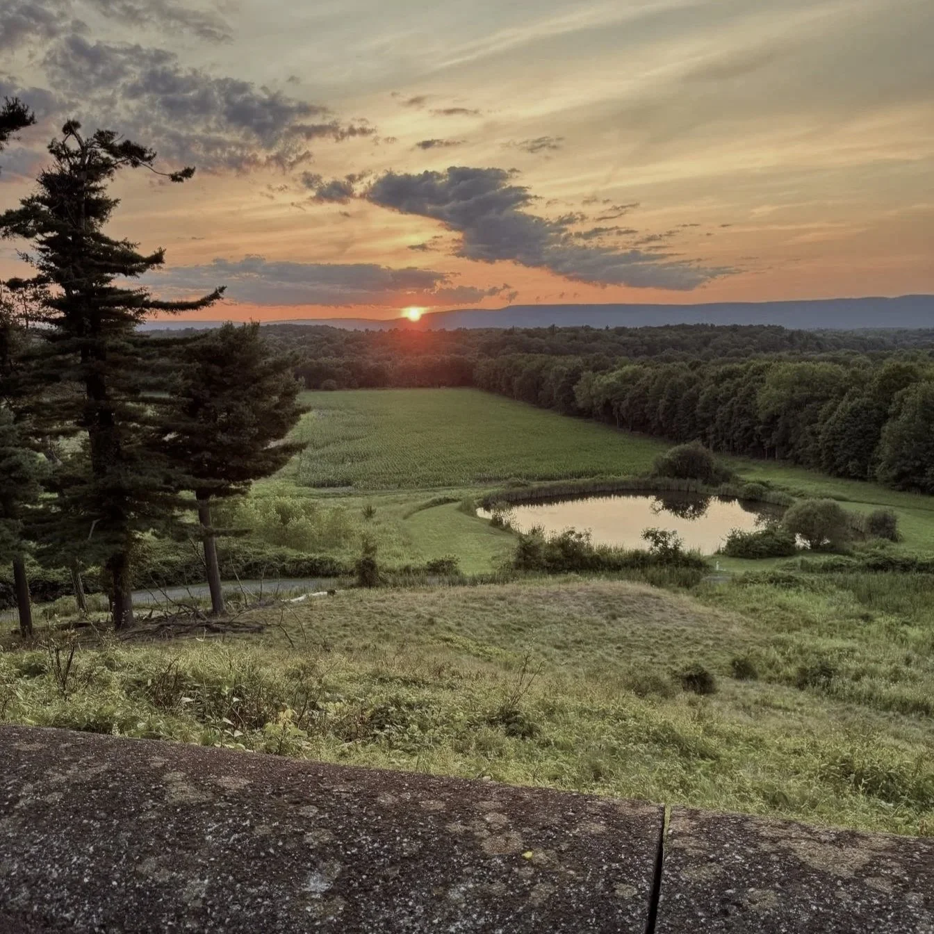 7-DAY LIVESTREAMED RETREAT from Borden Estate, New York (Copy)
