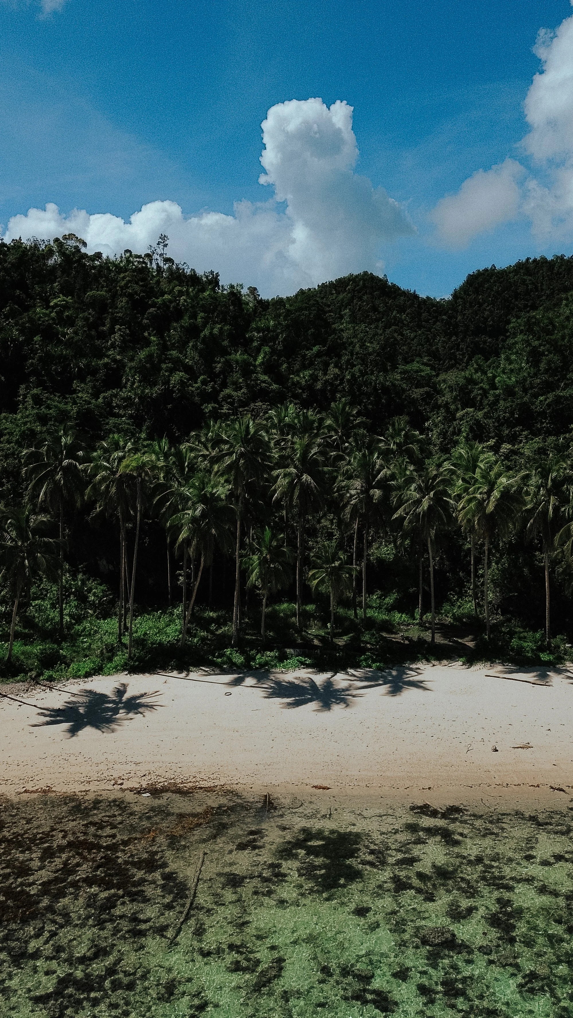 3.24.24_Philipines_461622.jpg