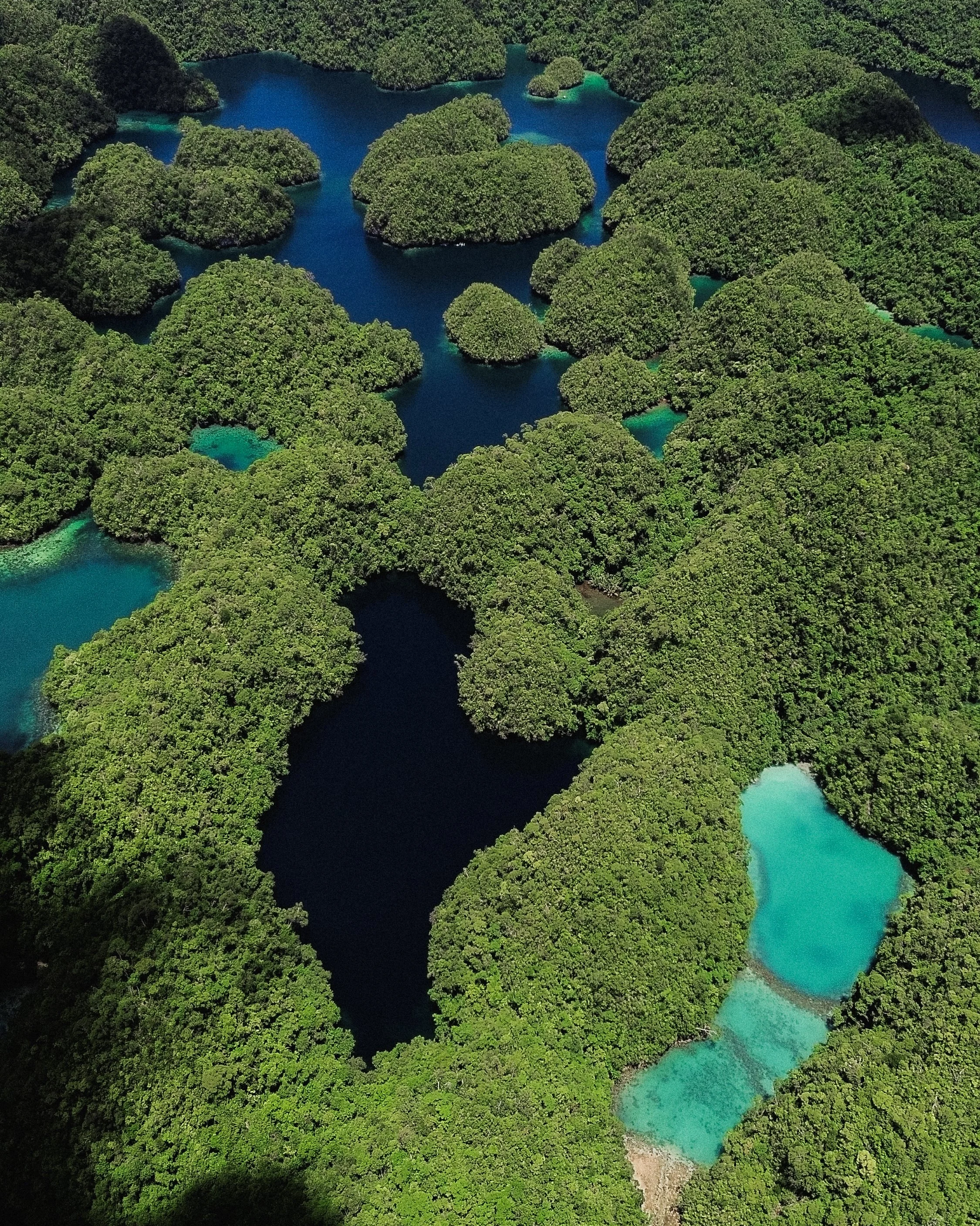 3.24.24_Philipines_461580.jpg