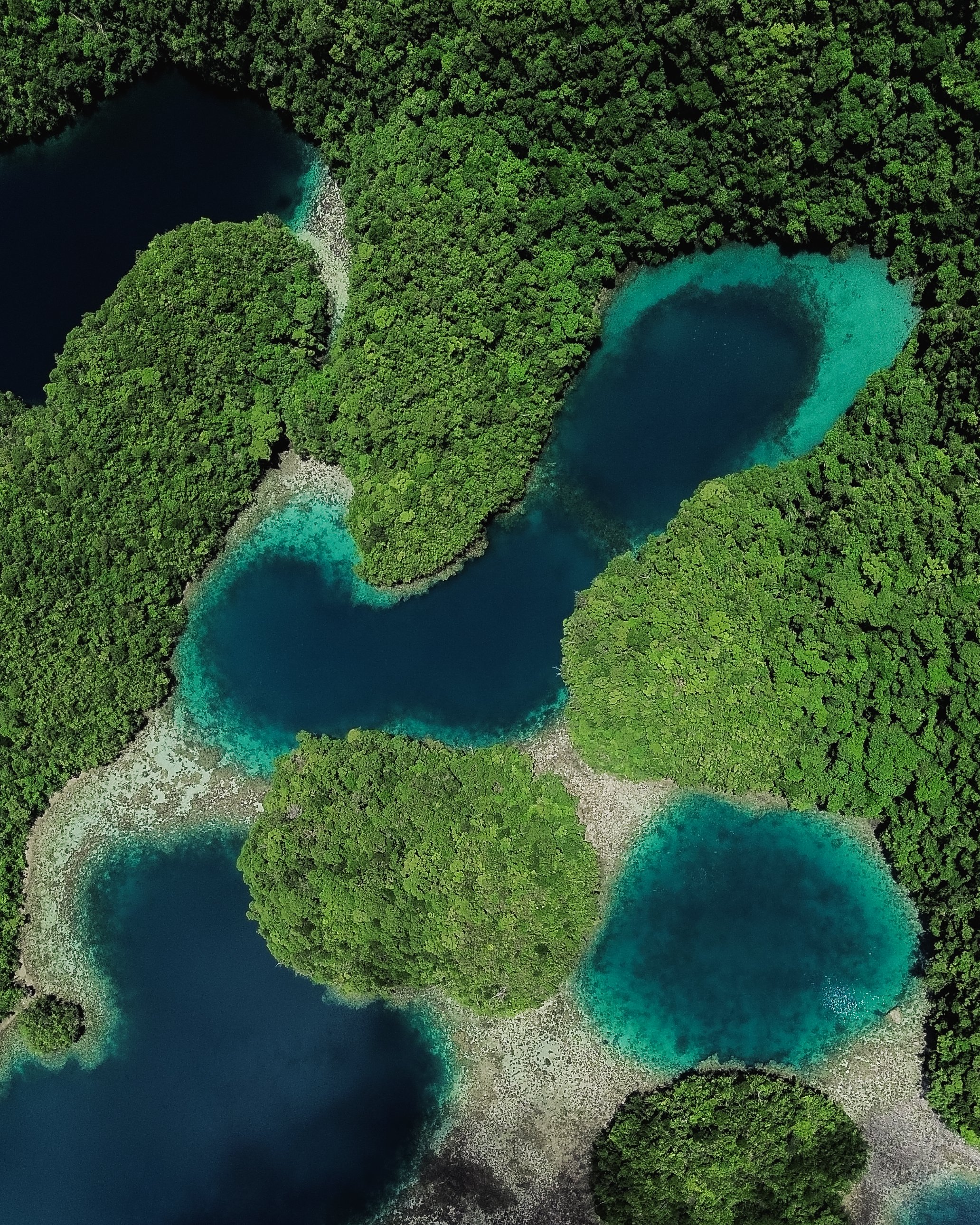 3.24.24_Philipines_461585.jpg