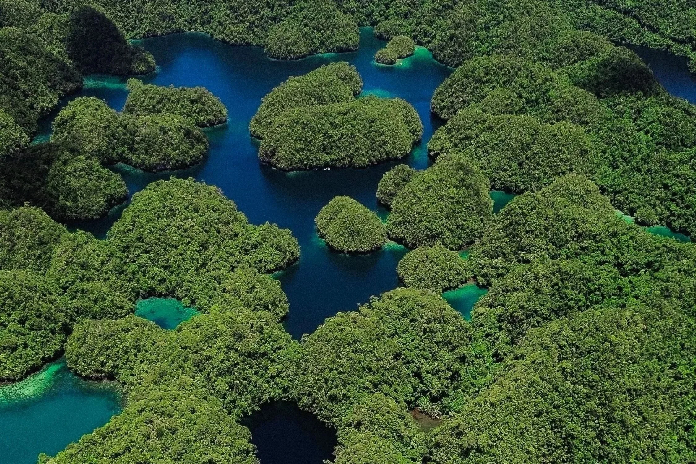 Sugba Lagoon Siargao Philippines turquoise water limestone cliffs