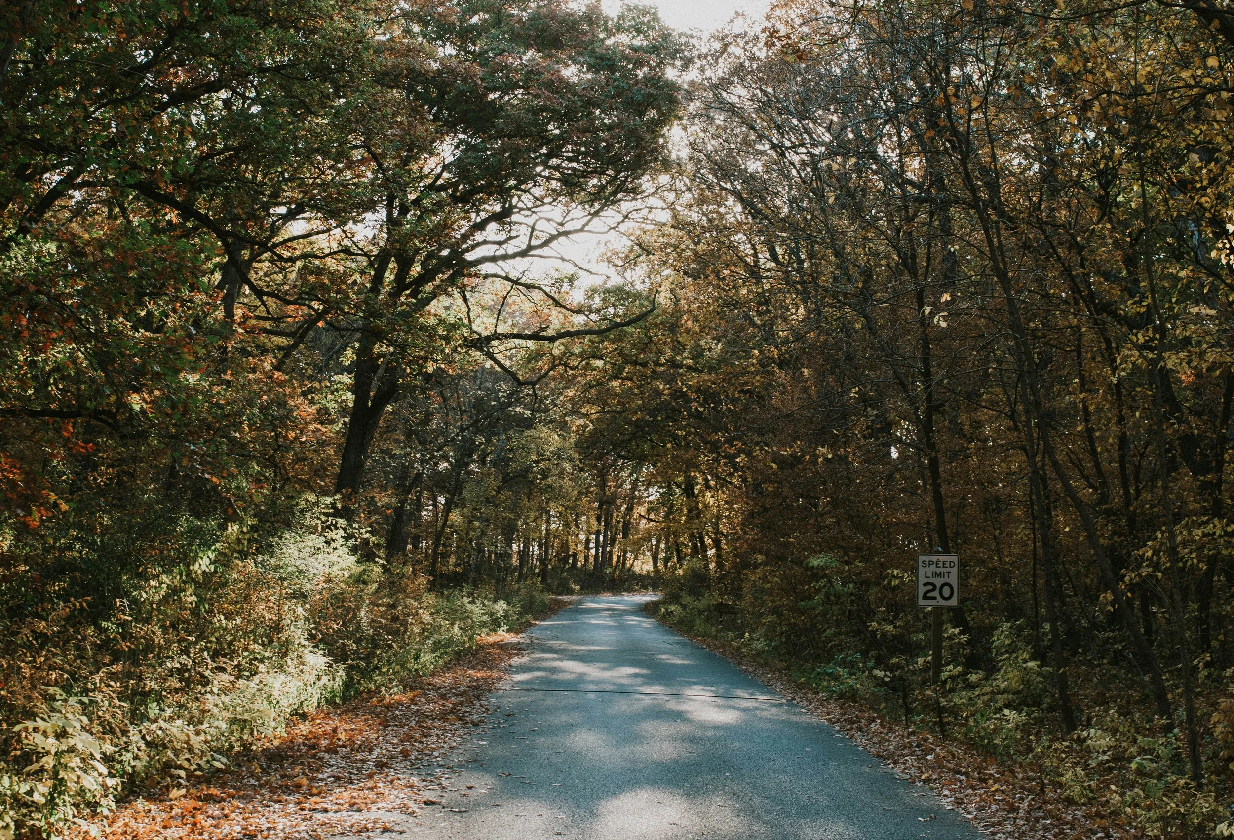 10 Reasons To Stop Ignoring Your Pain