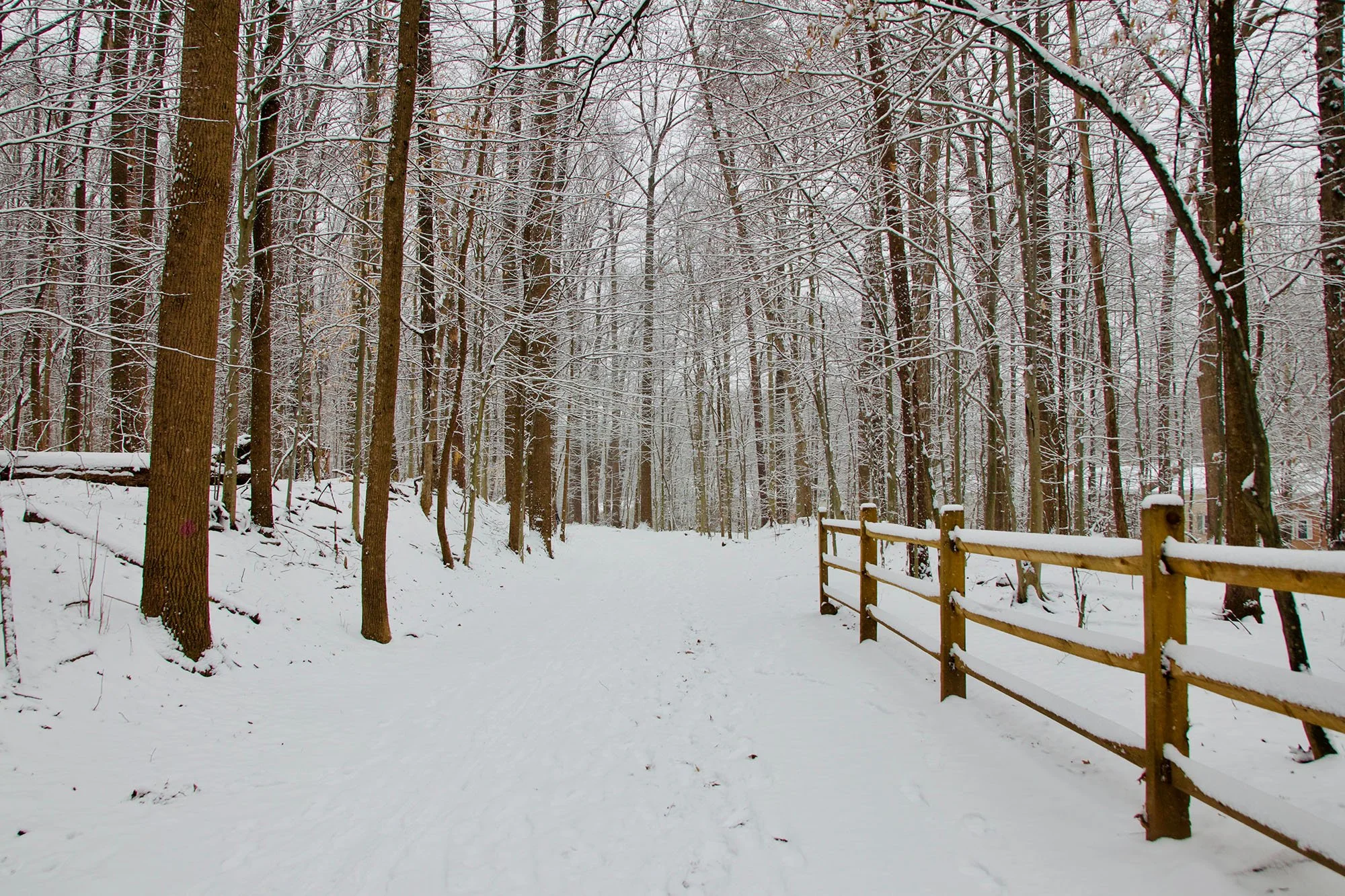 How To Stay Active During Winter 