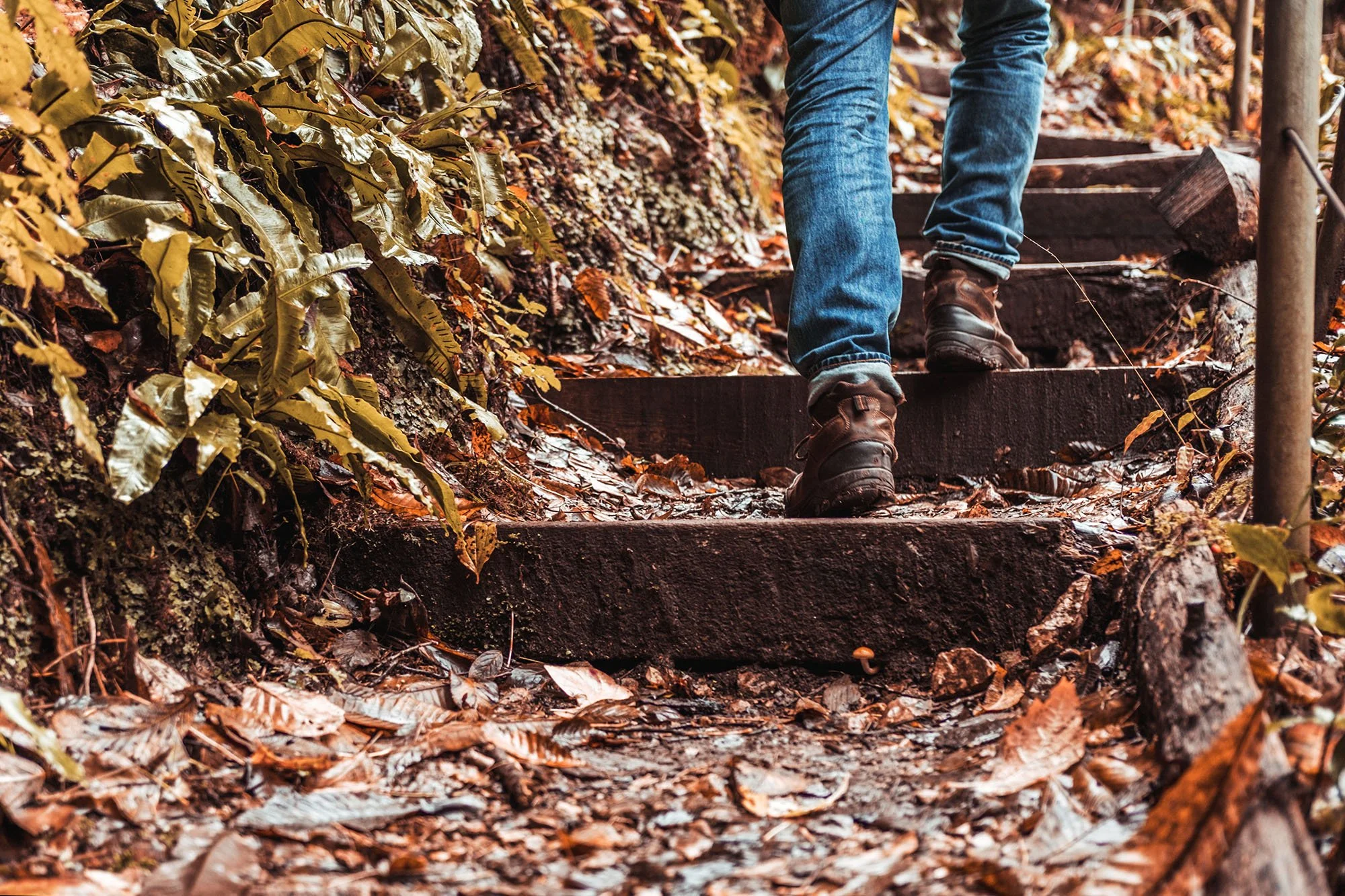 Knee Pain Relief Boone, NC