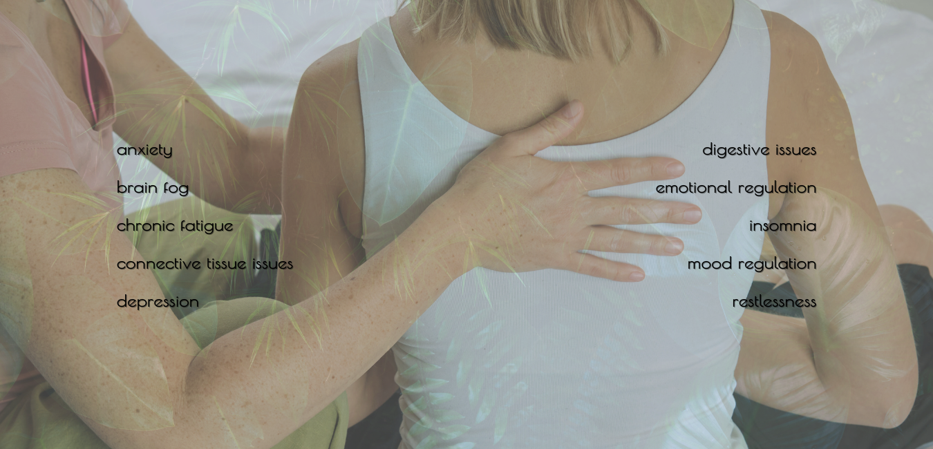 A woman sitting receiving trauma-informed somatic healing with a female practitioners hands on her front and back of heart space