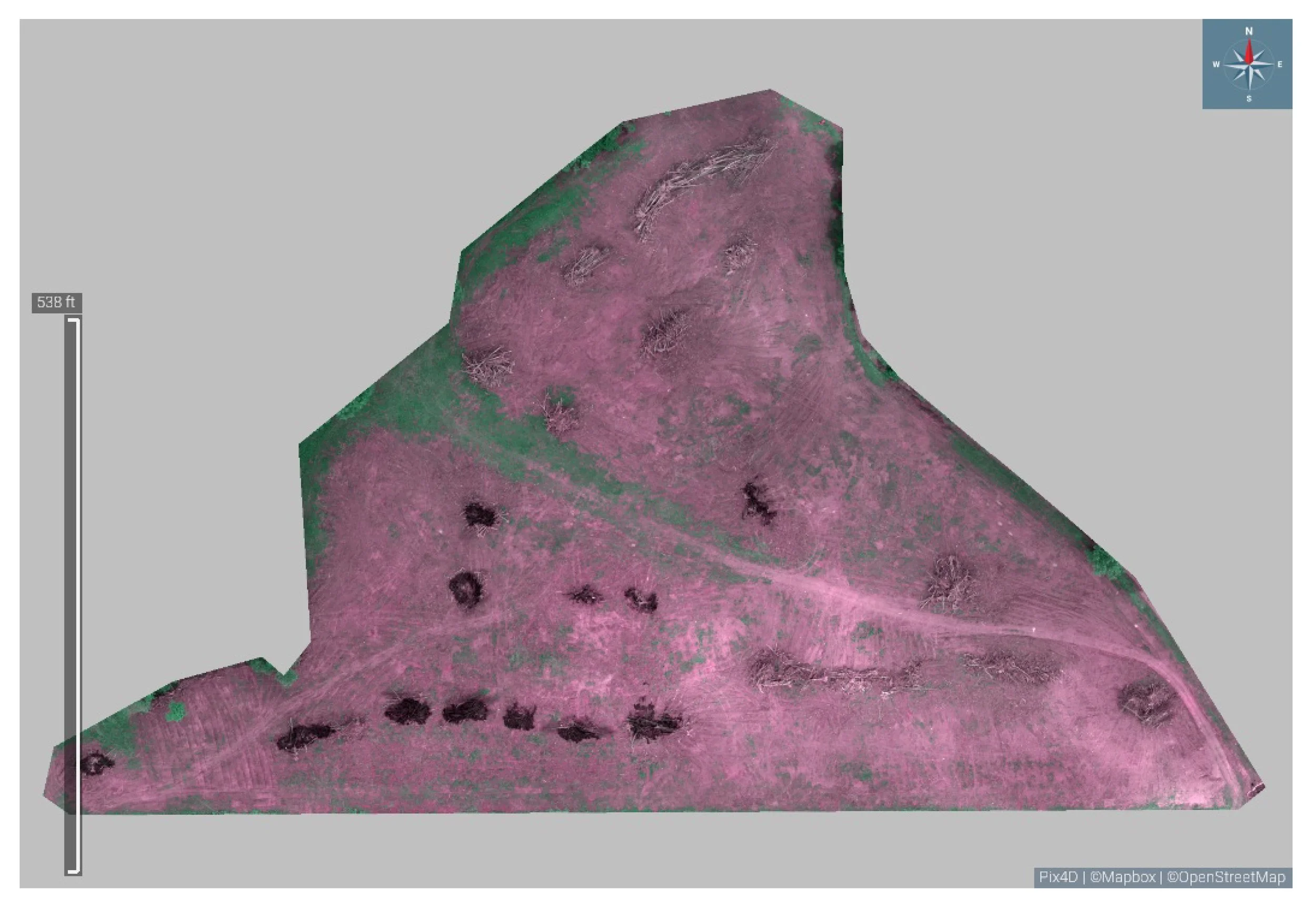 Cleared section of timber that needs to be remediated