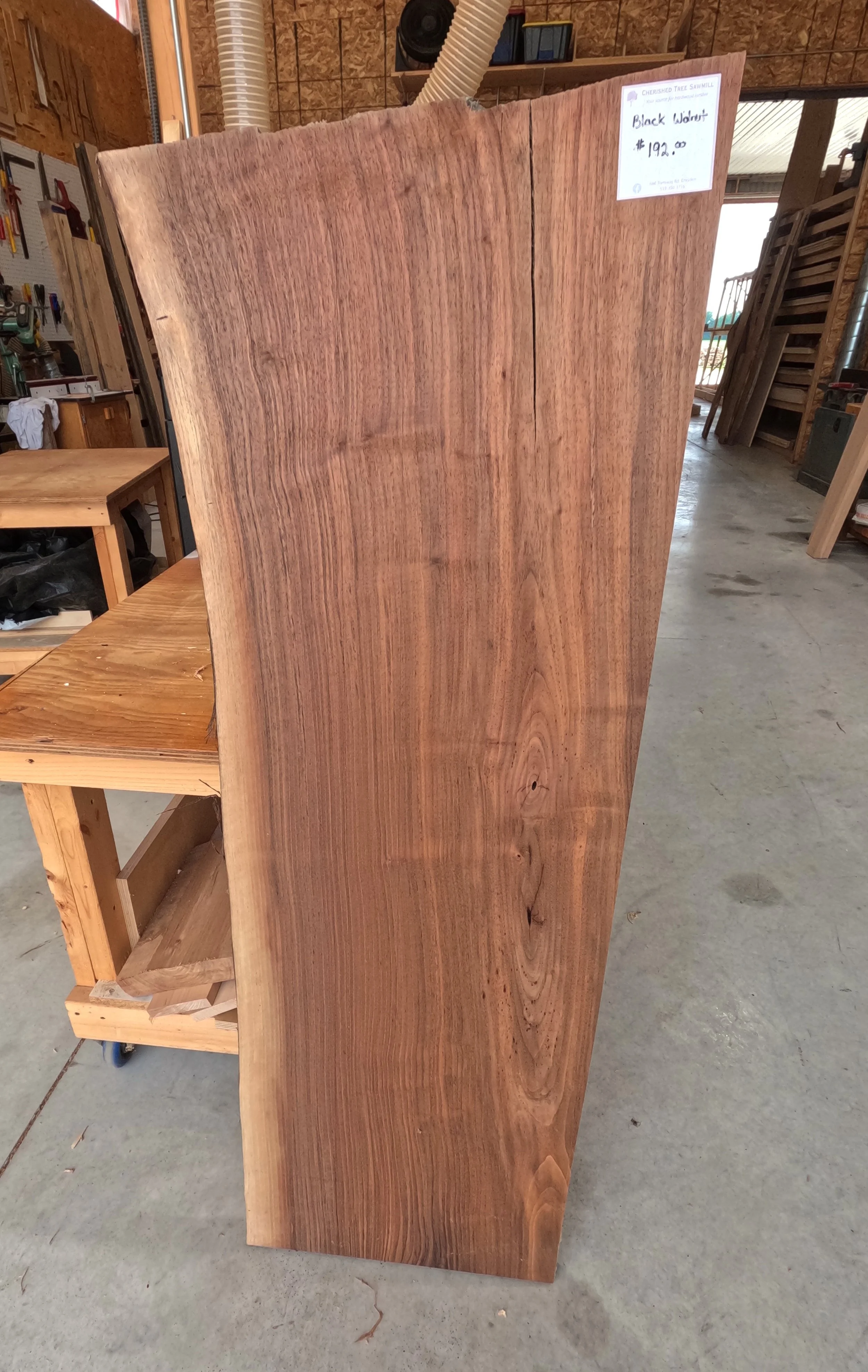 Black Walnut Live Edge Slab