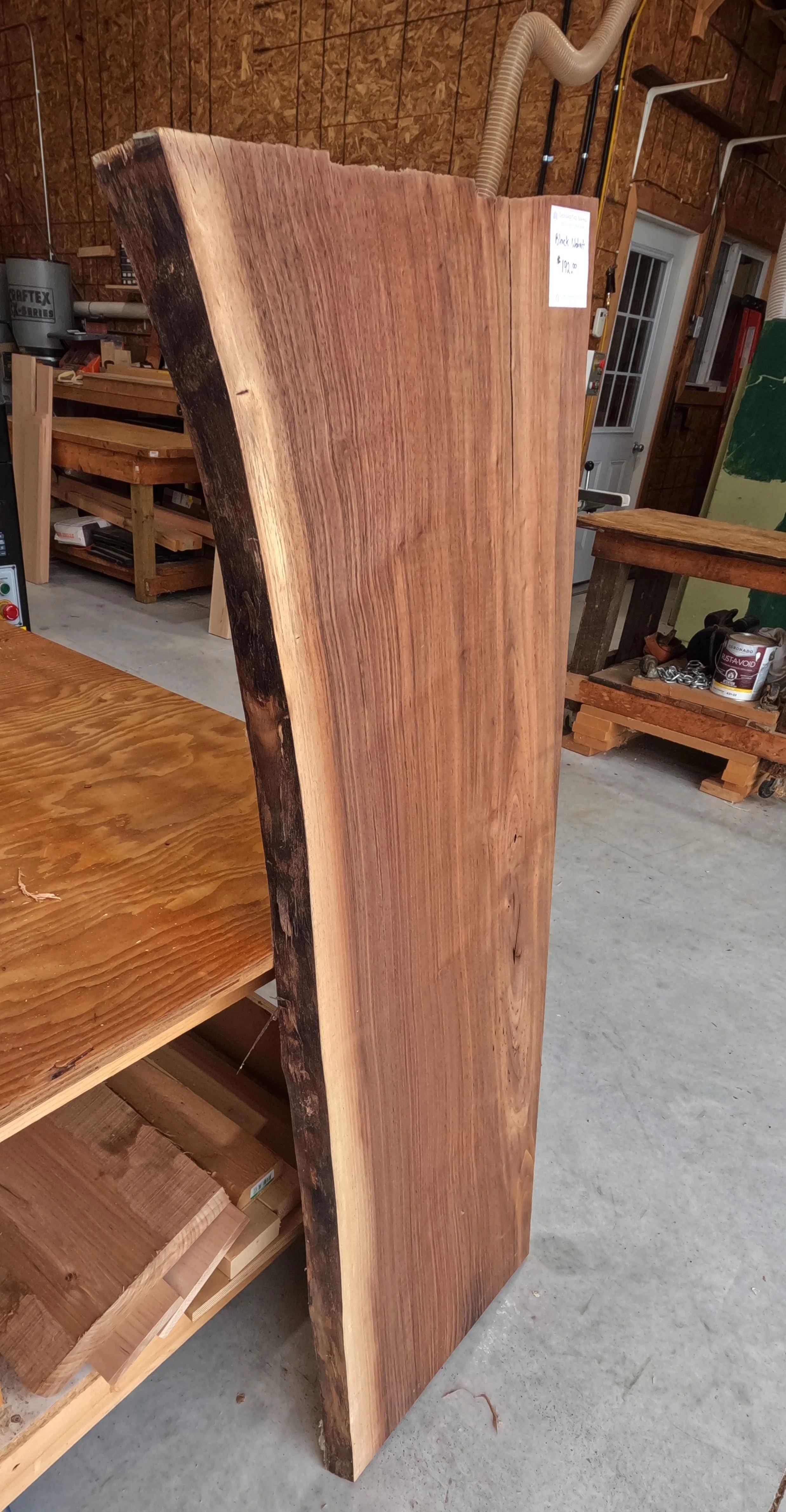 Walnut2.JPG