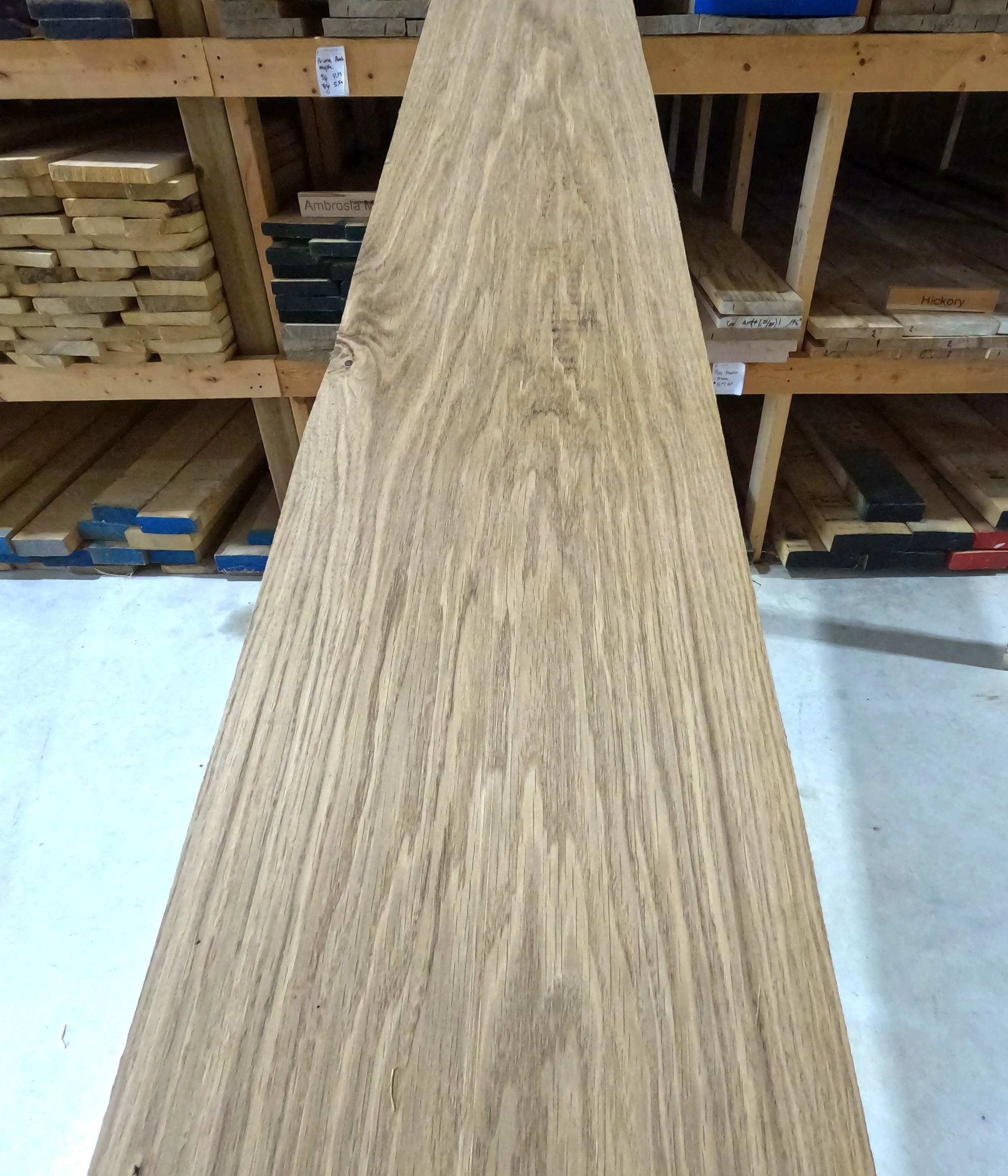 White Oak 1.JPG