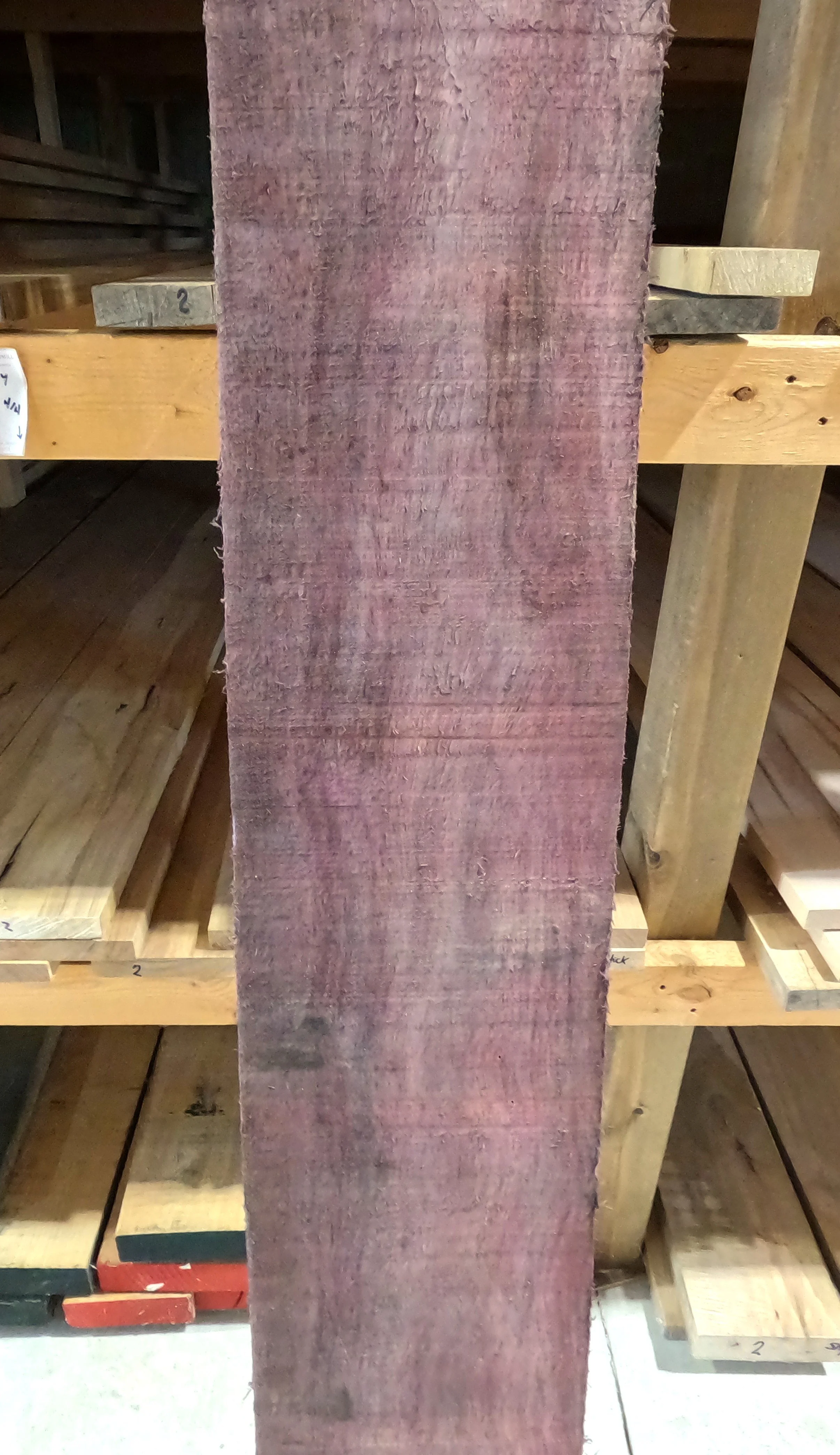 Purpleheart.JPG