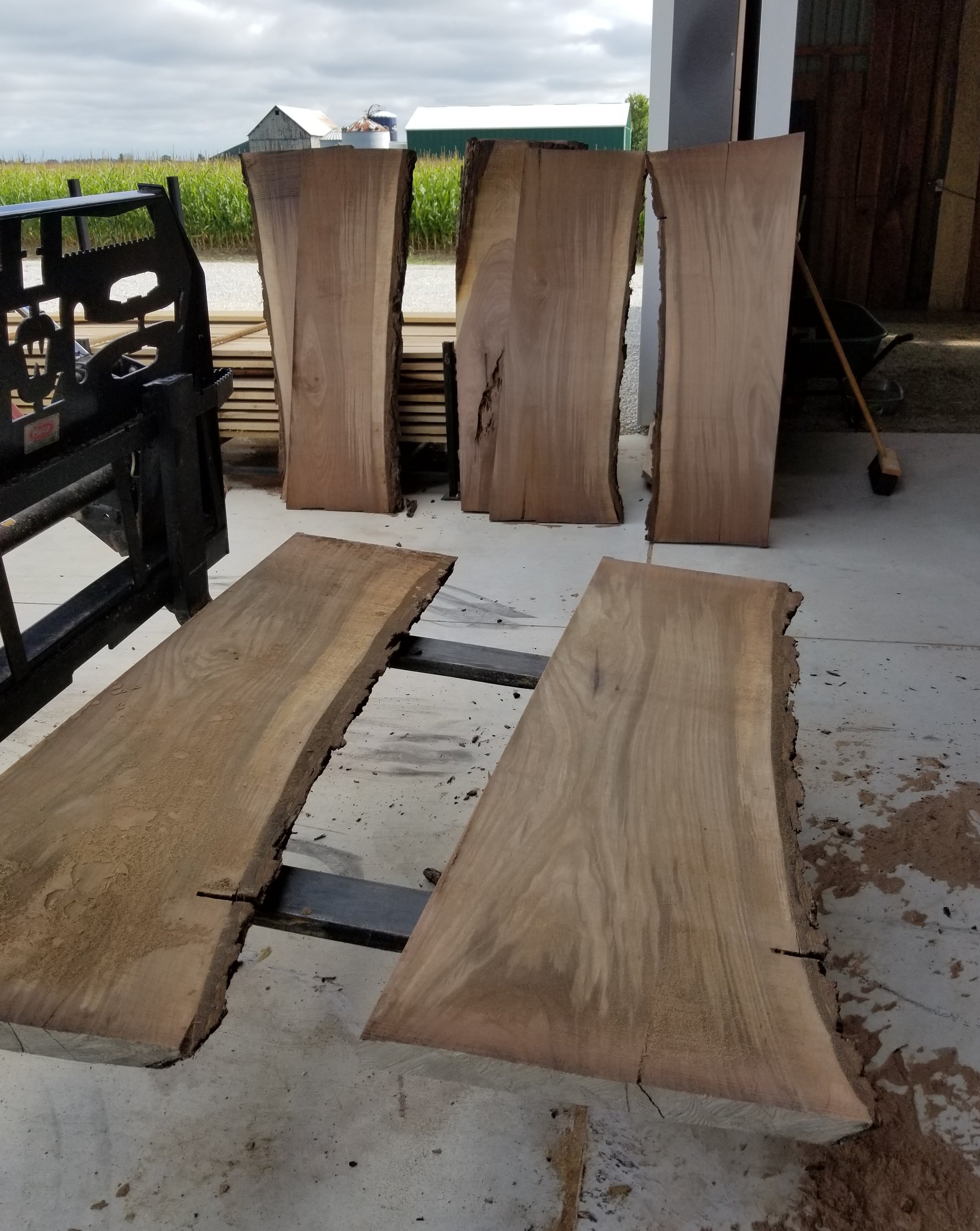 Walnut slabs.jpg