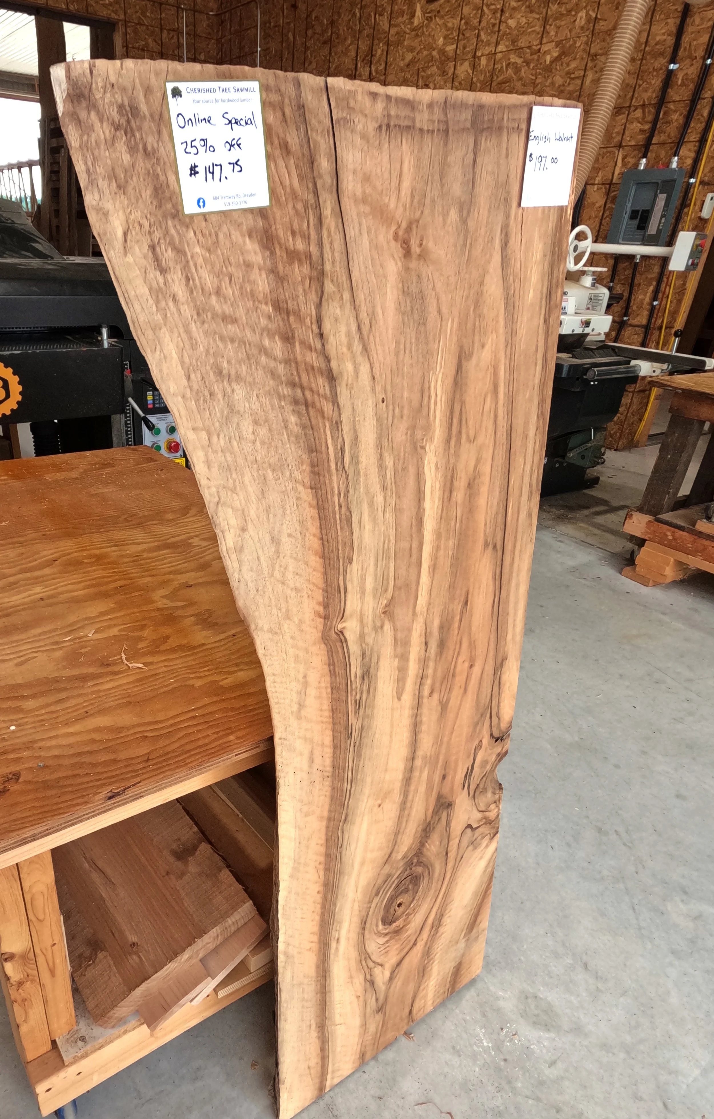 English Walnut Live Edge slab