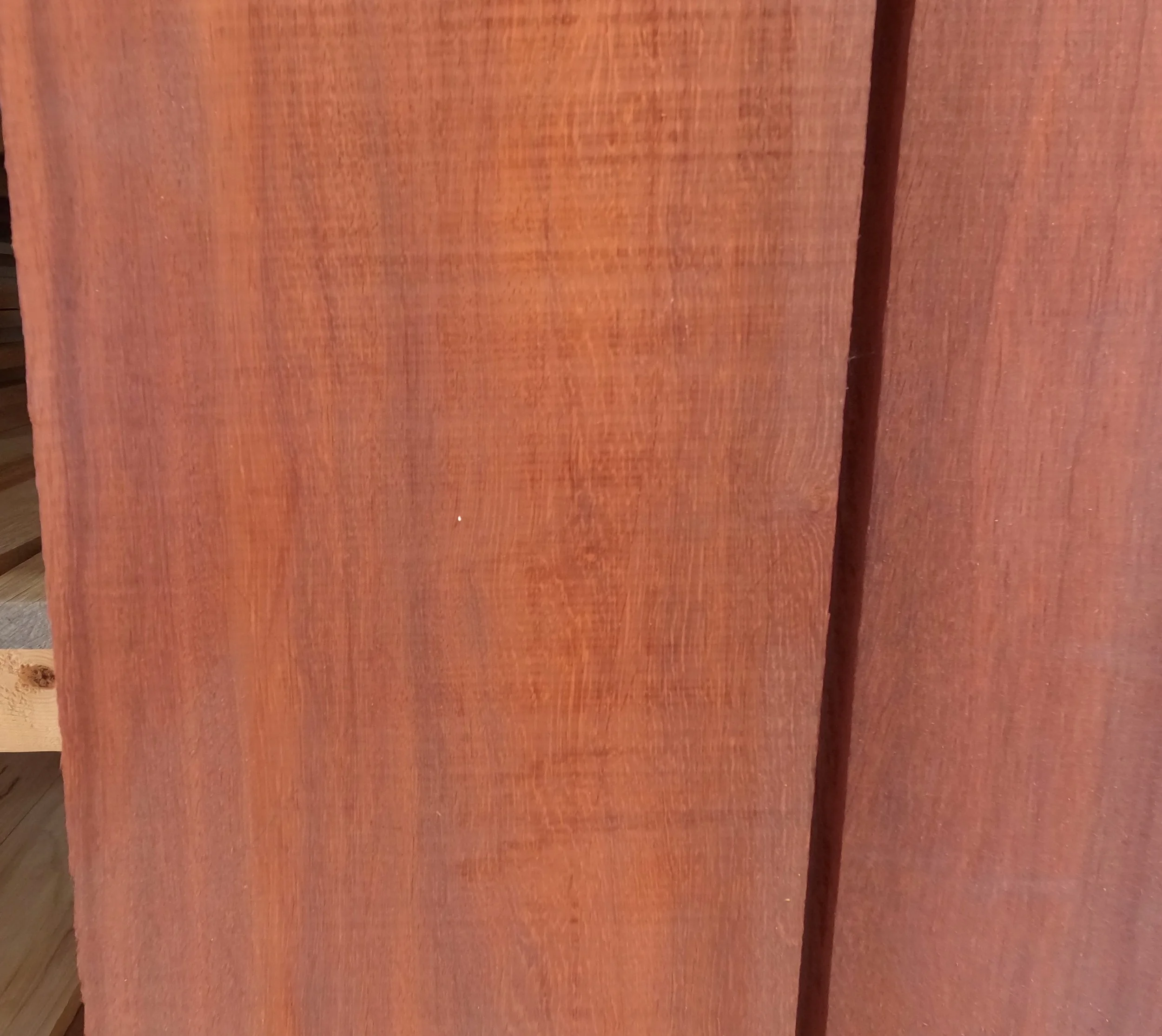 Padauk.JPG