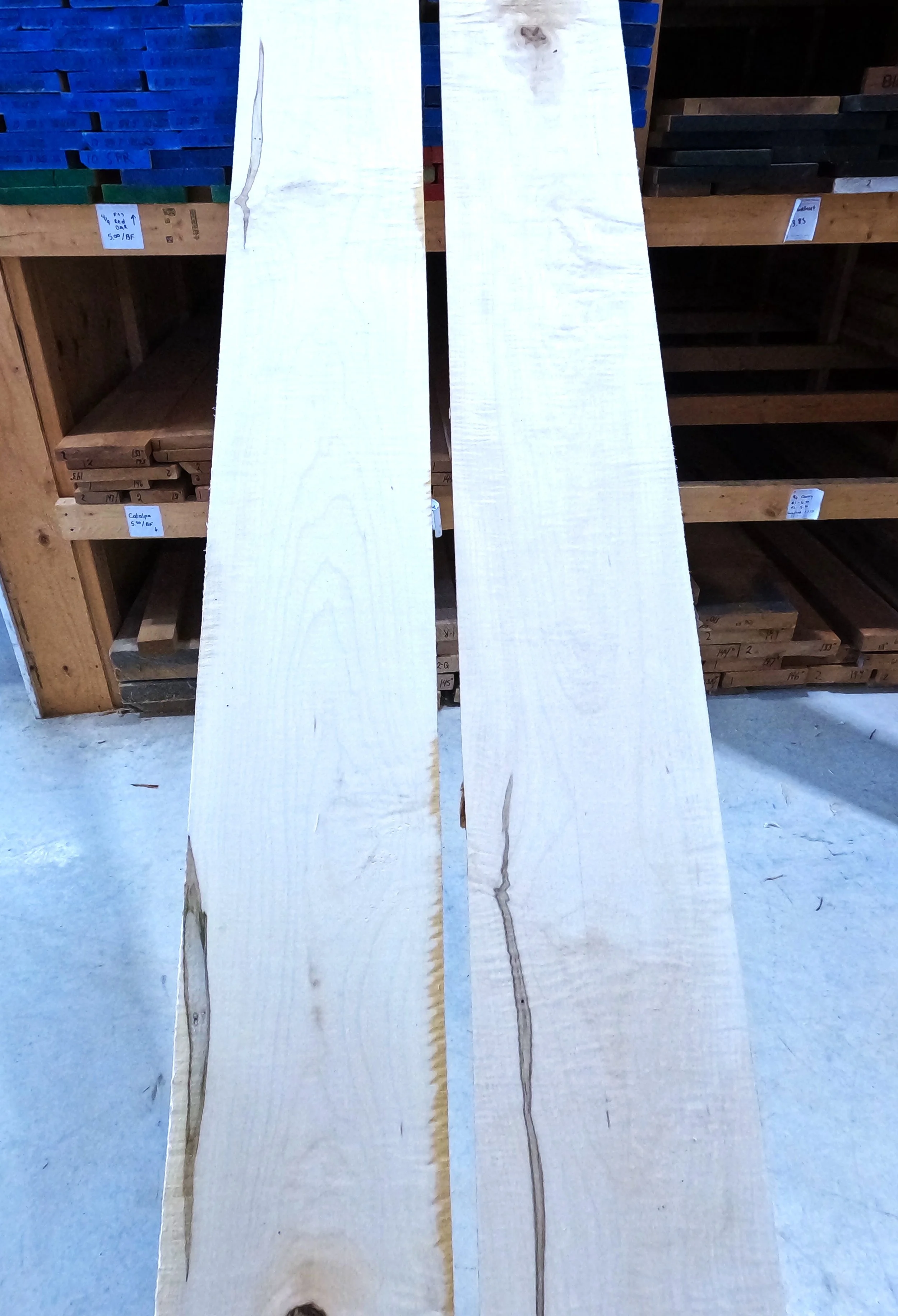 Curly Maple.JPG