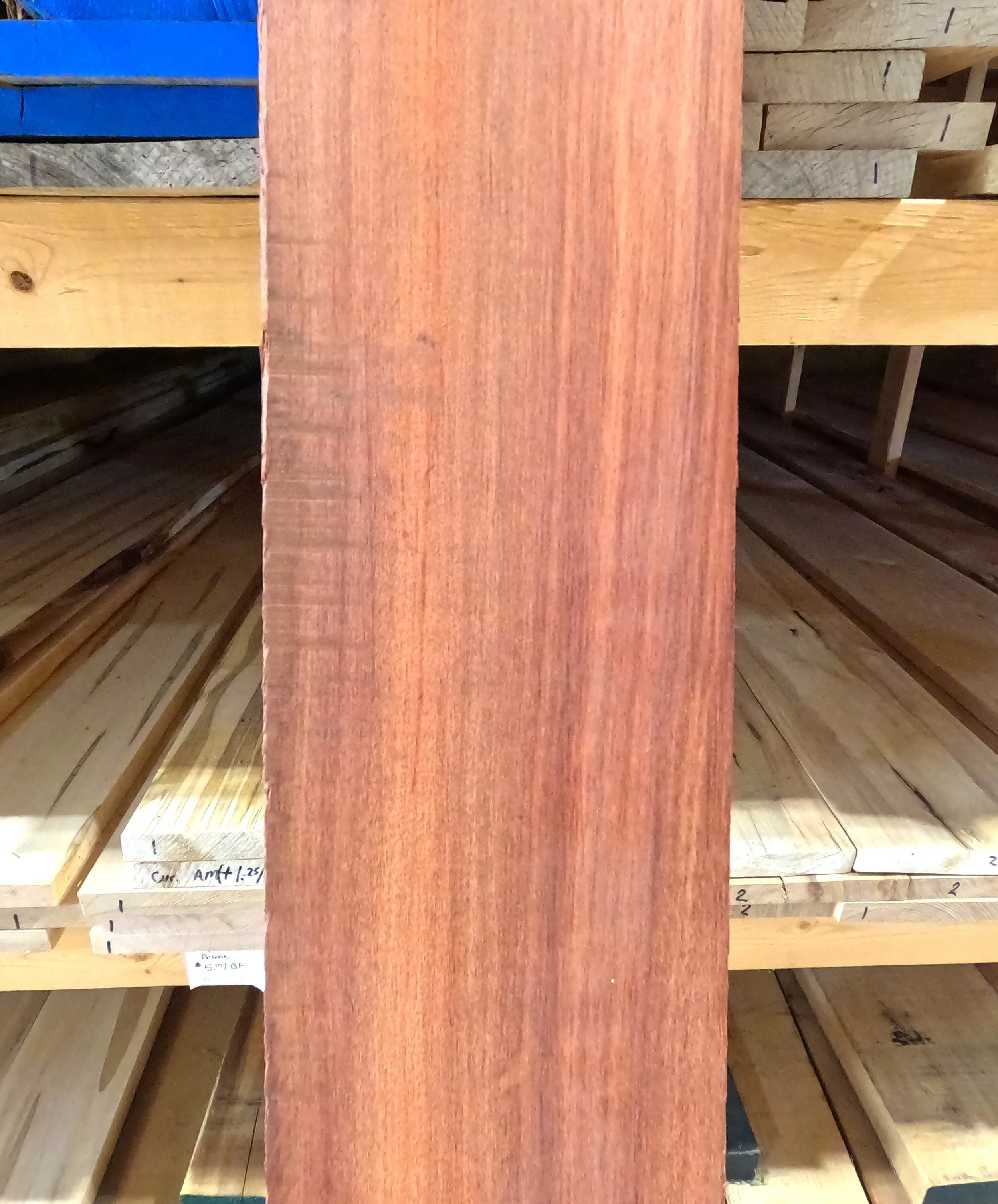 Bloodwood.JPG