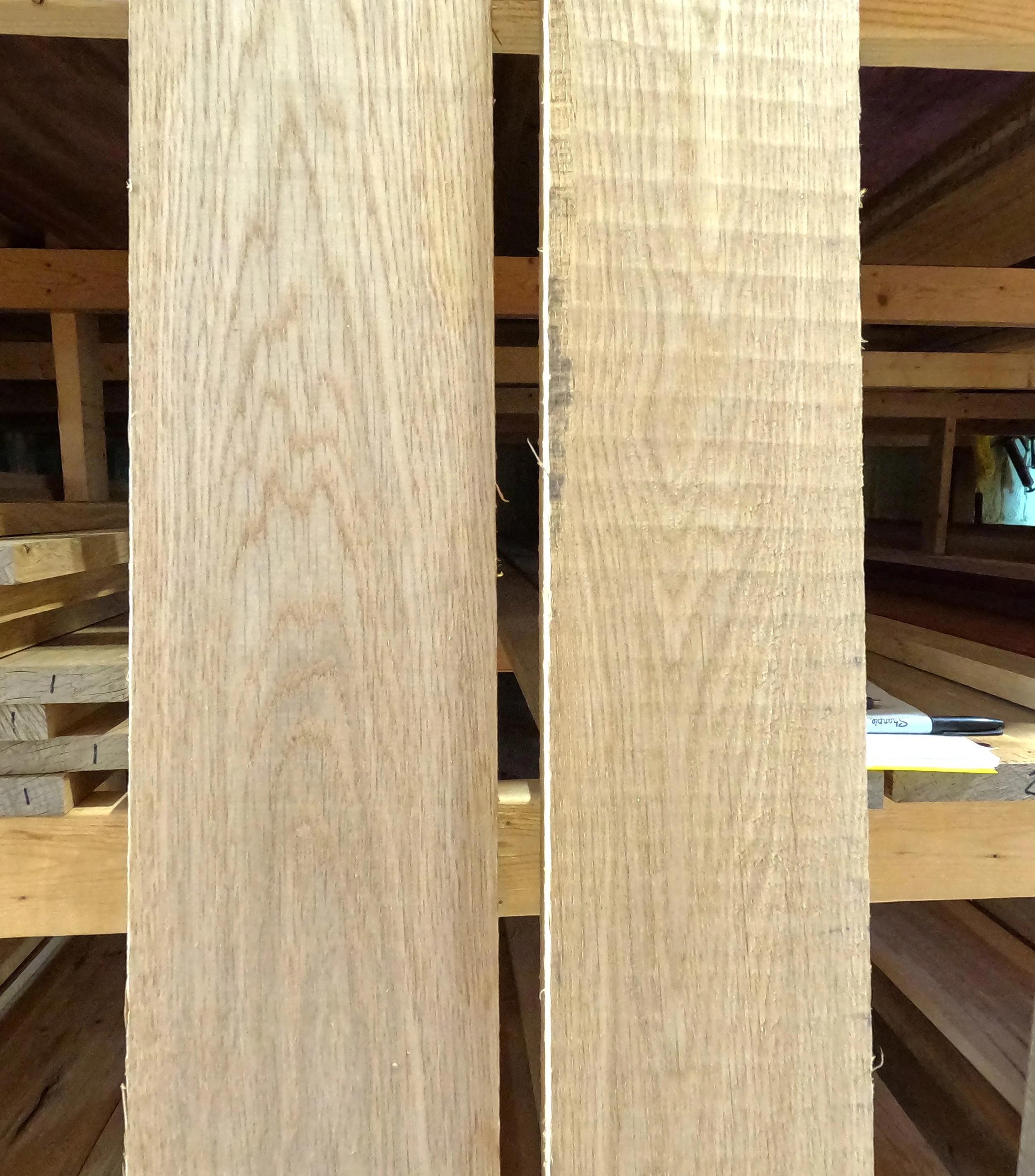 White Oak.JPG