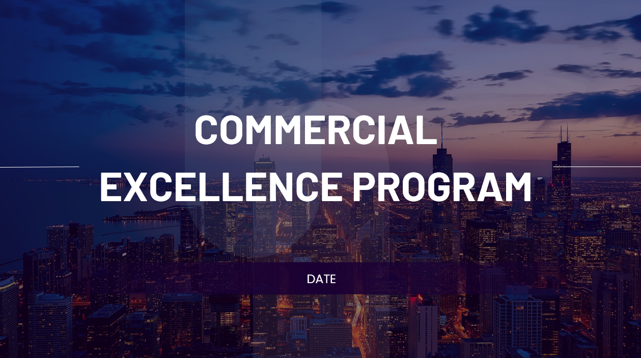 Customer Excellence Program