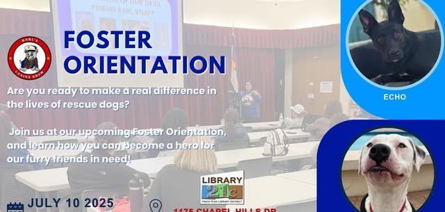 Foster Orientation