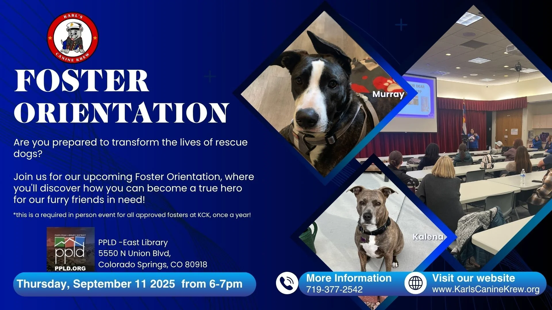 Foster Orientation and Training