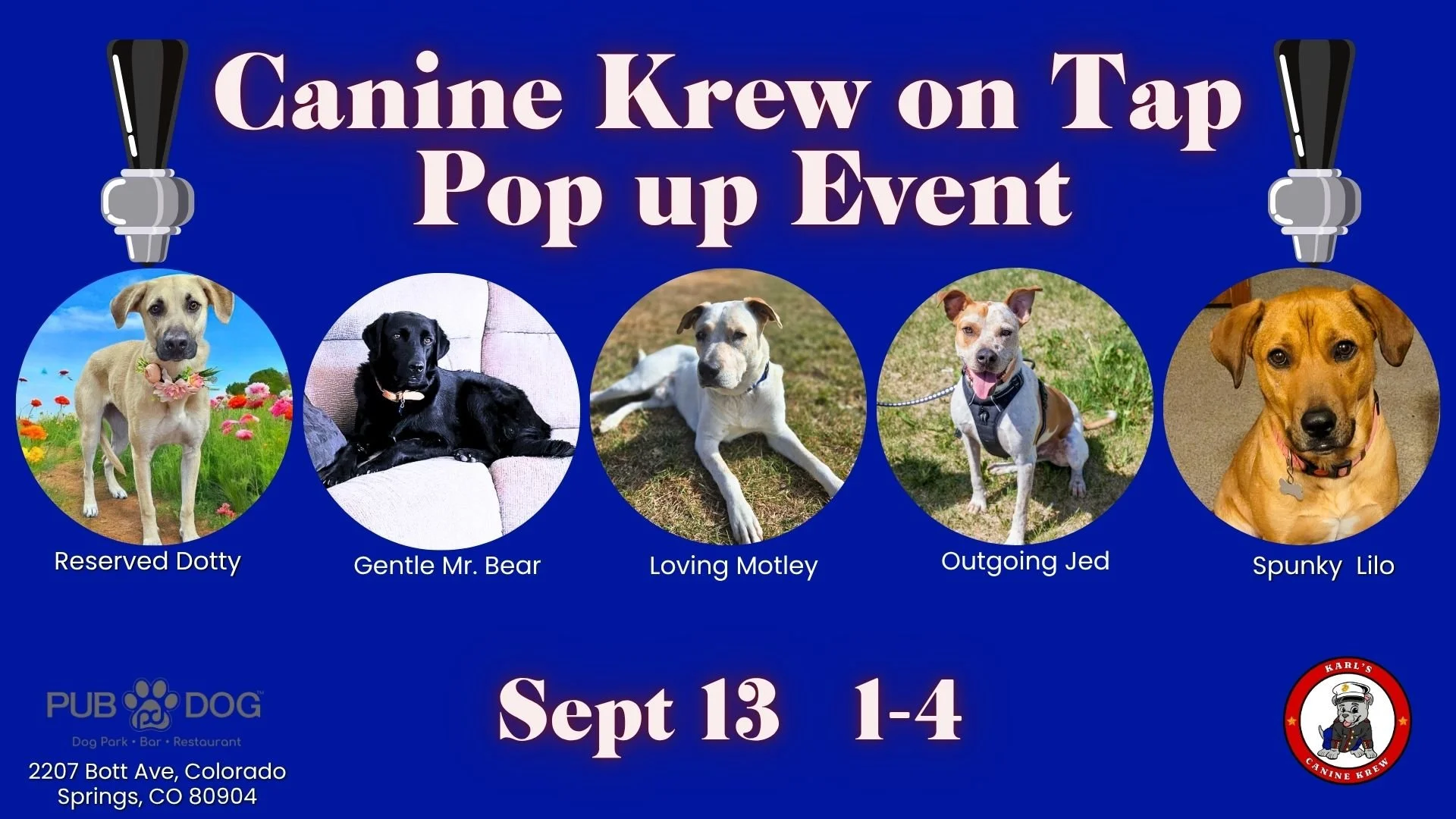 Canine Krew on Tap: Pop-up at Pub Dog