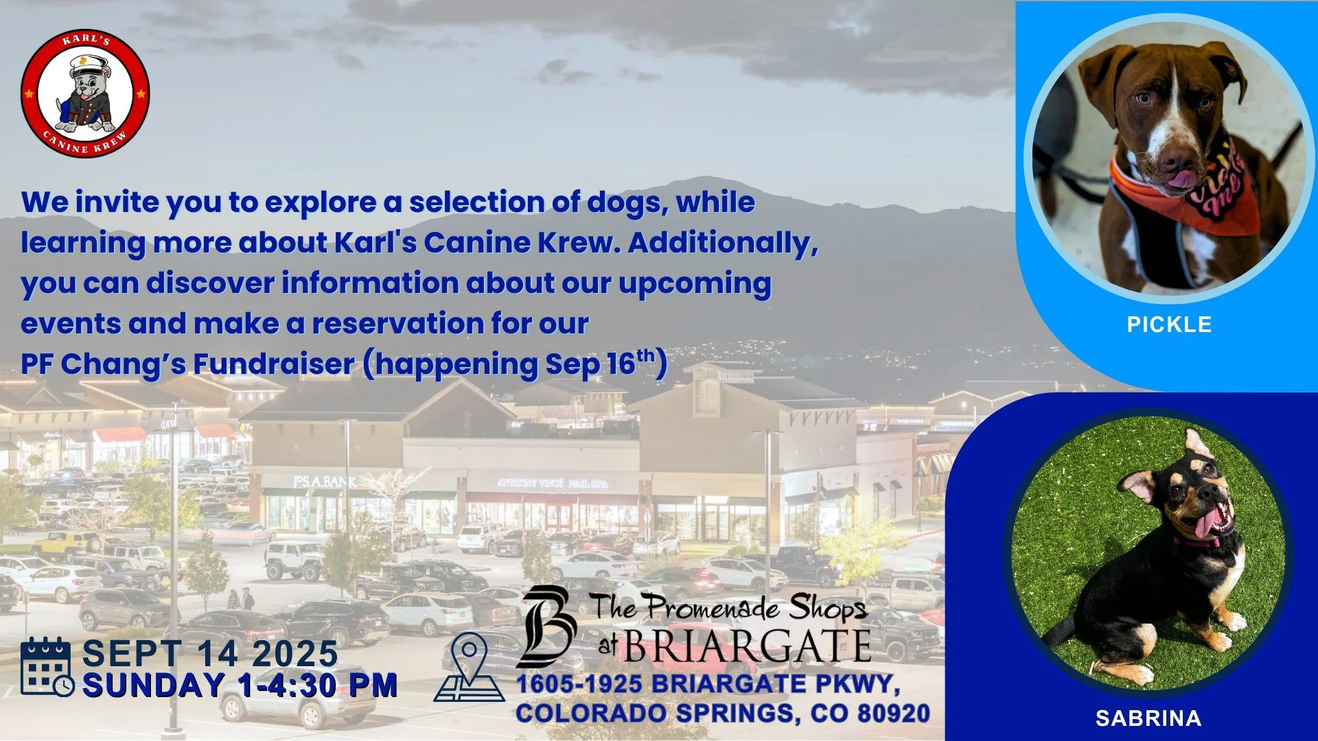 Sunday with Karl's Canine Krew
