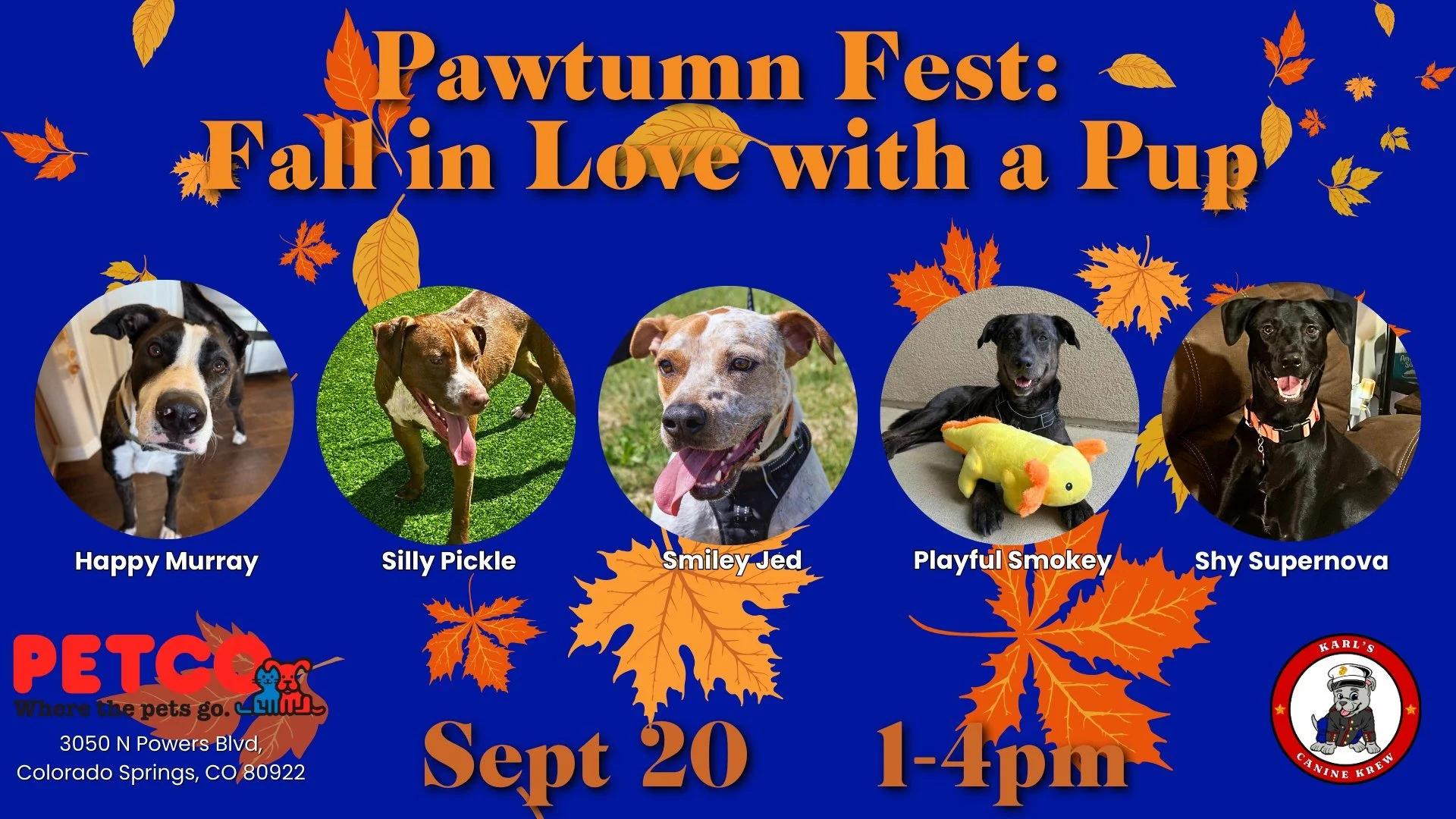 Pawtumn Fest: Fall in Love with a Pup! 🍂🐾