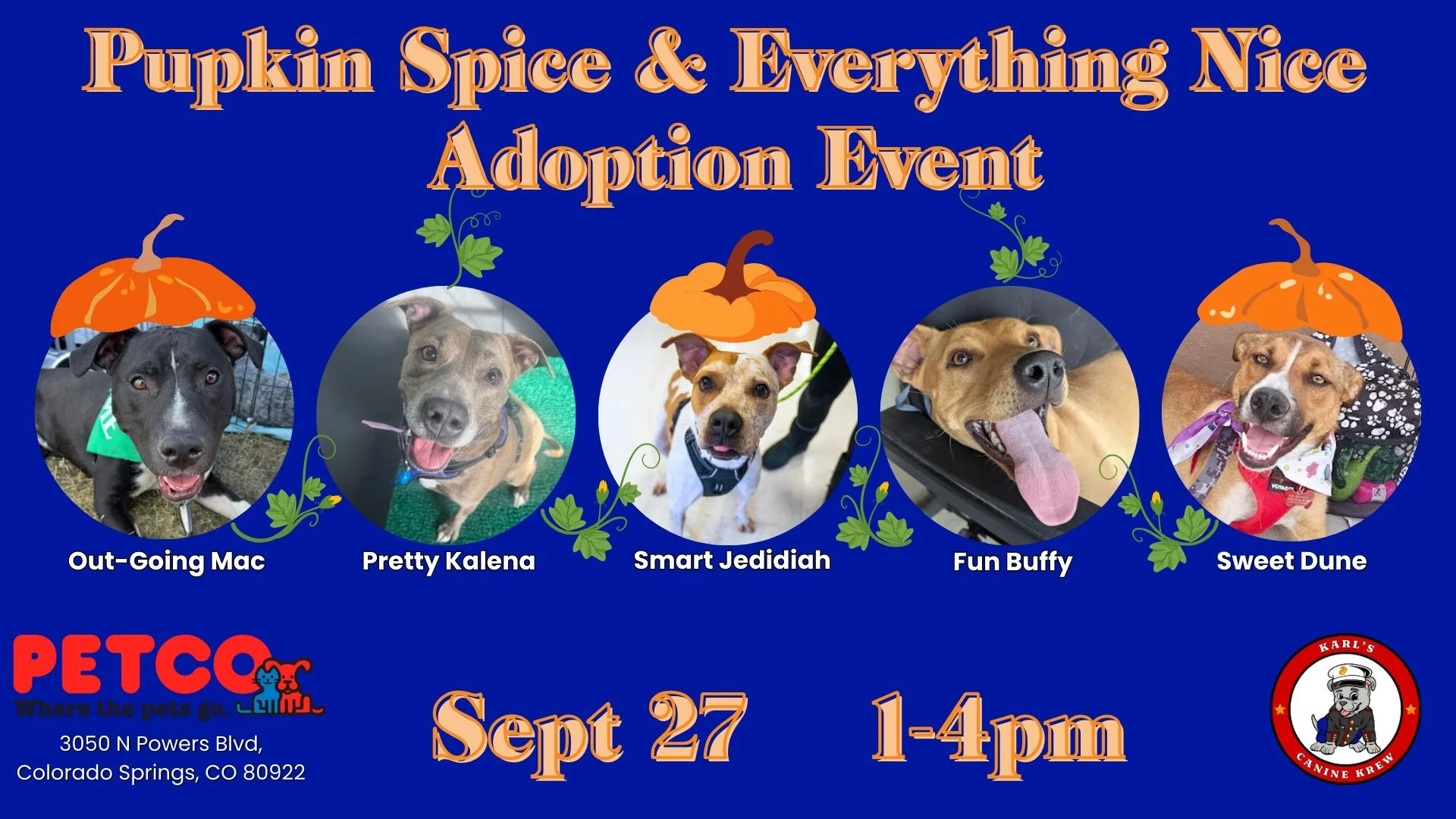 Pupkin Spice & Everything Nice Adoption Event 🎃🐾