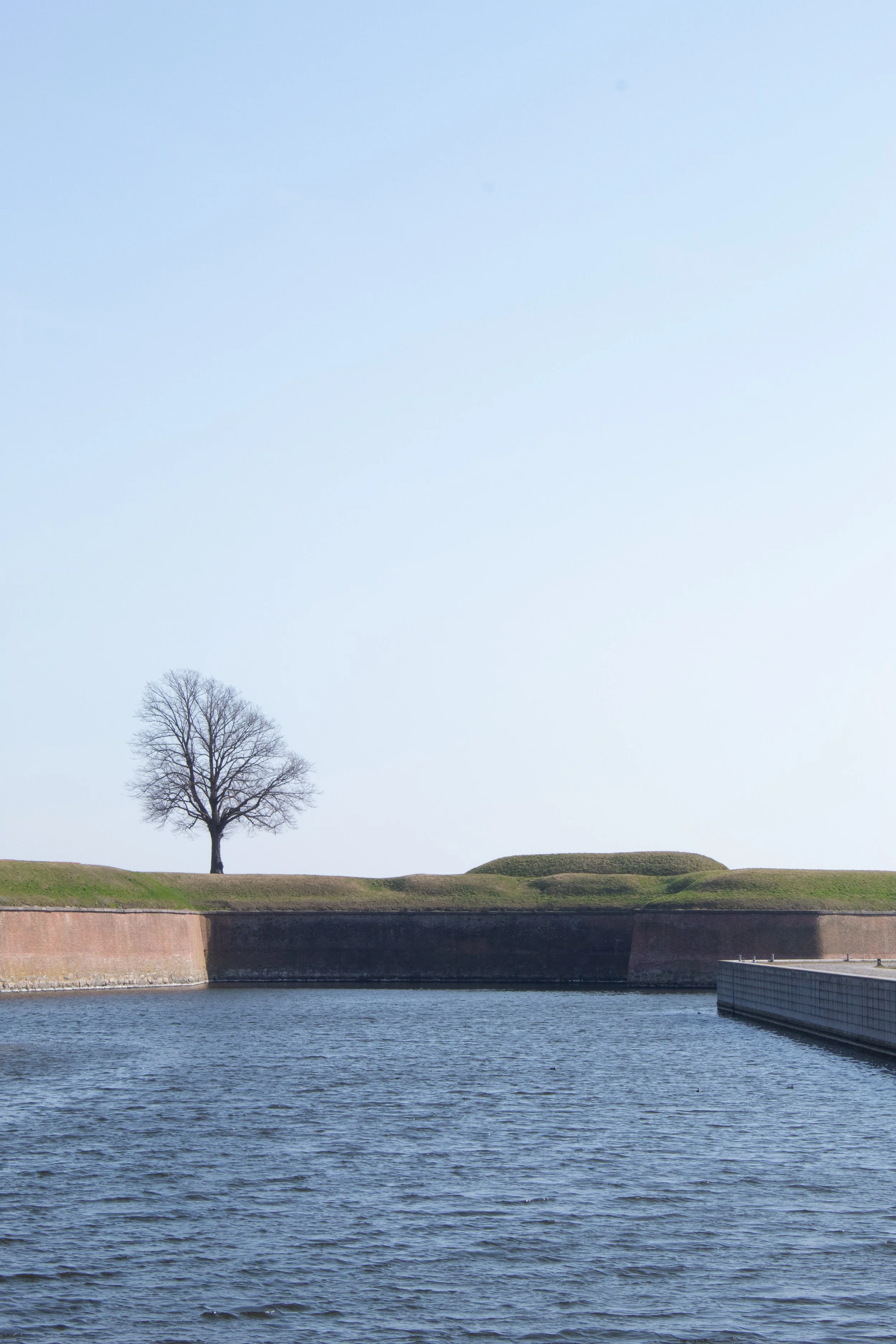_MG_2415.jpg