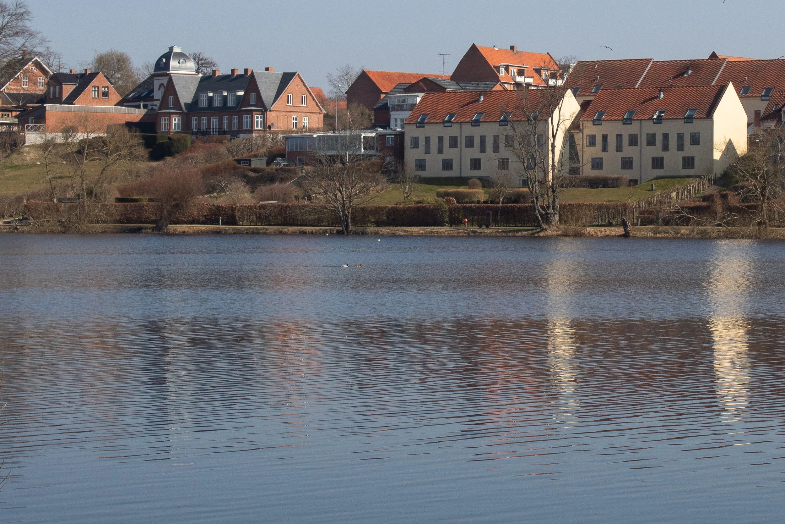 _MG_2458.jpg