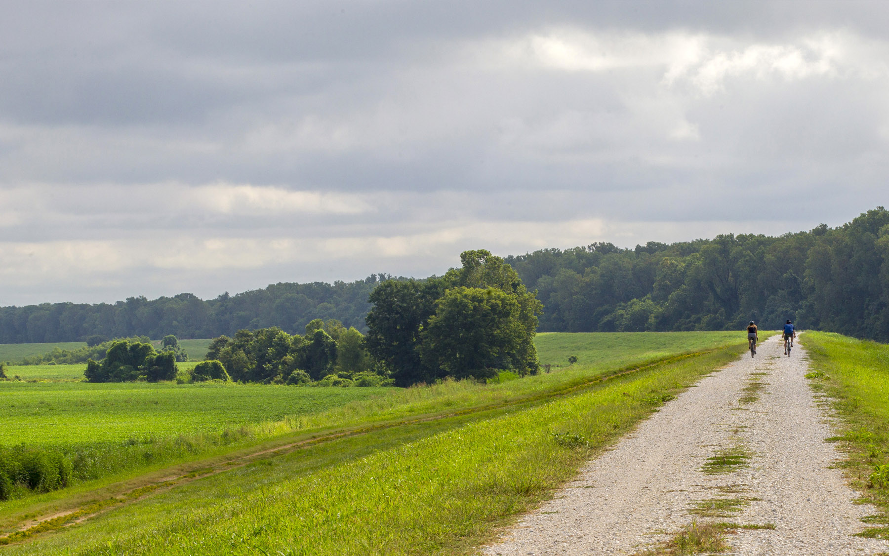 Trail300_3.jpg