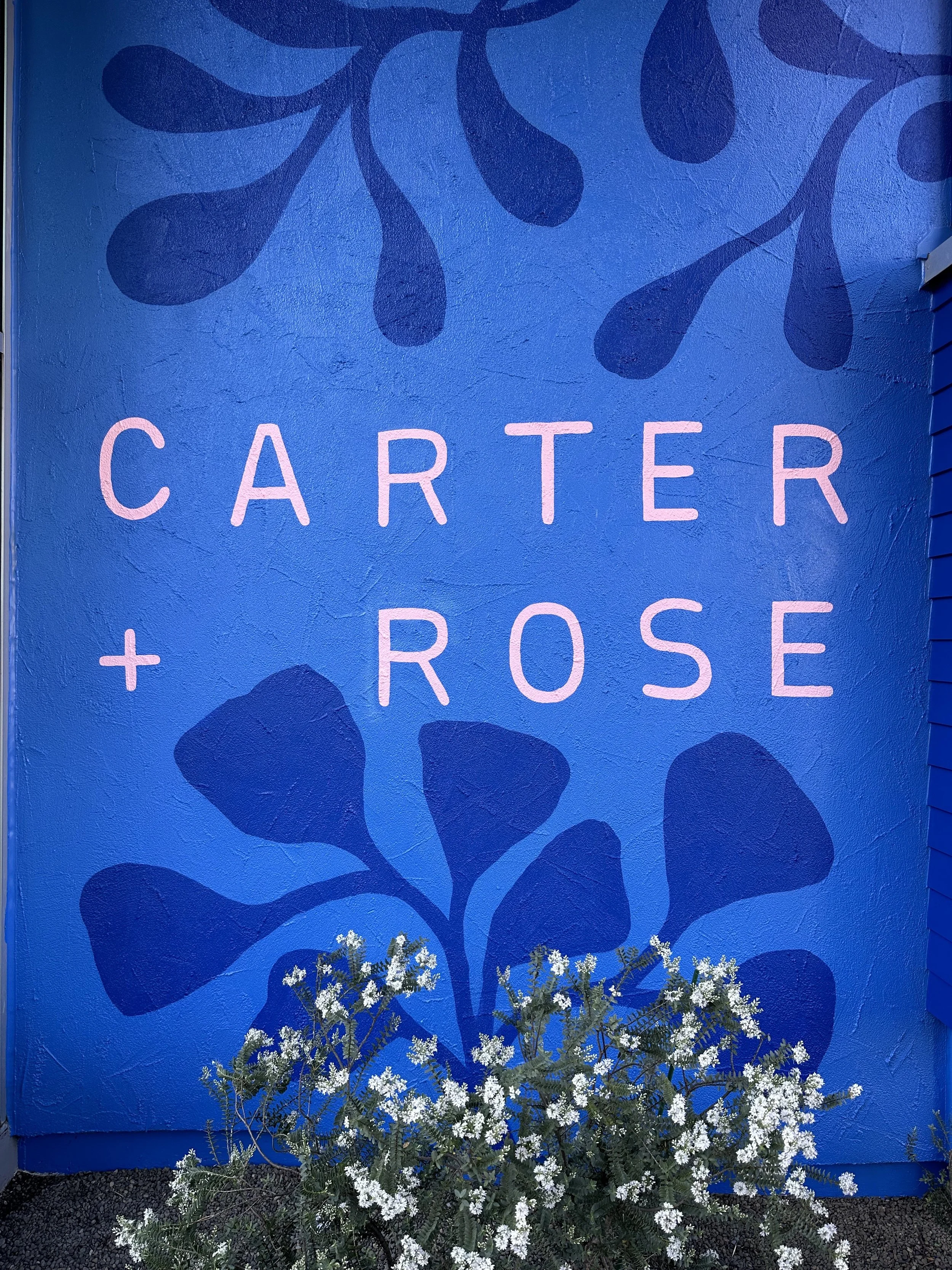 Carter & Rose Storefront Mural - SE Division St. Portland, OR