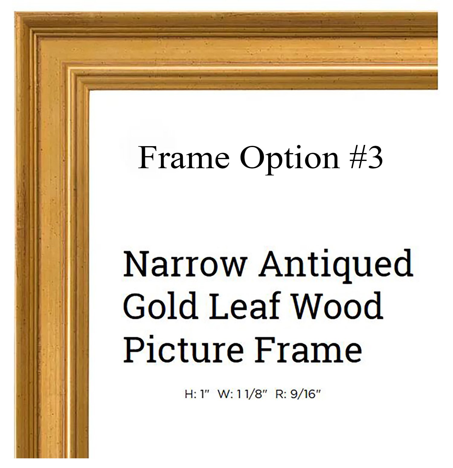 American Frame__403235.jpg